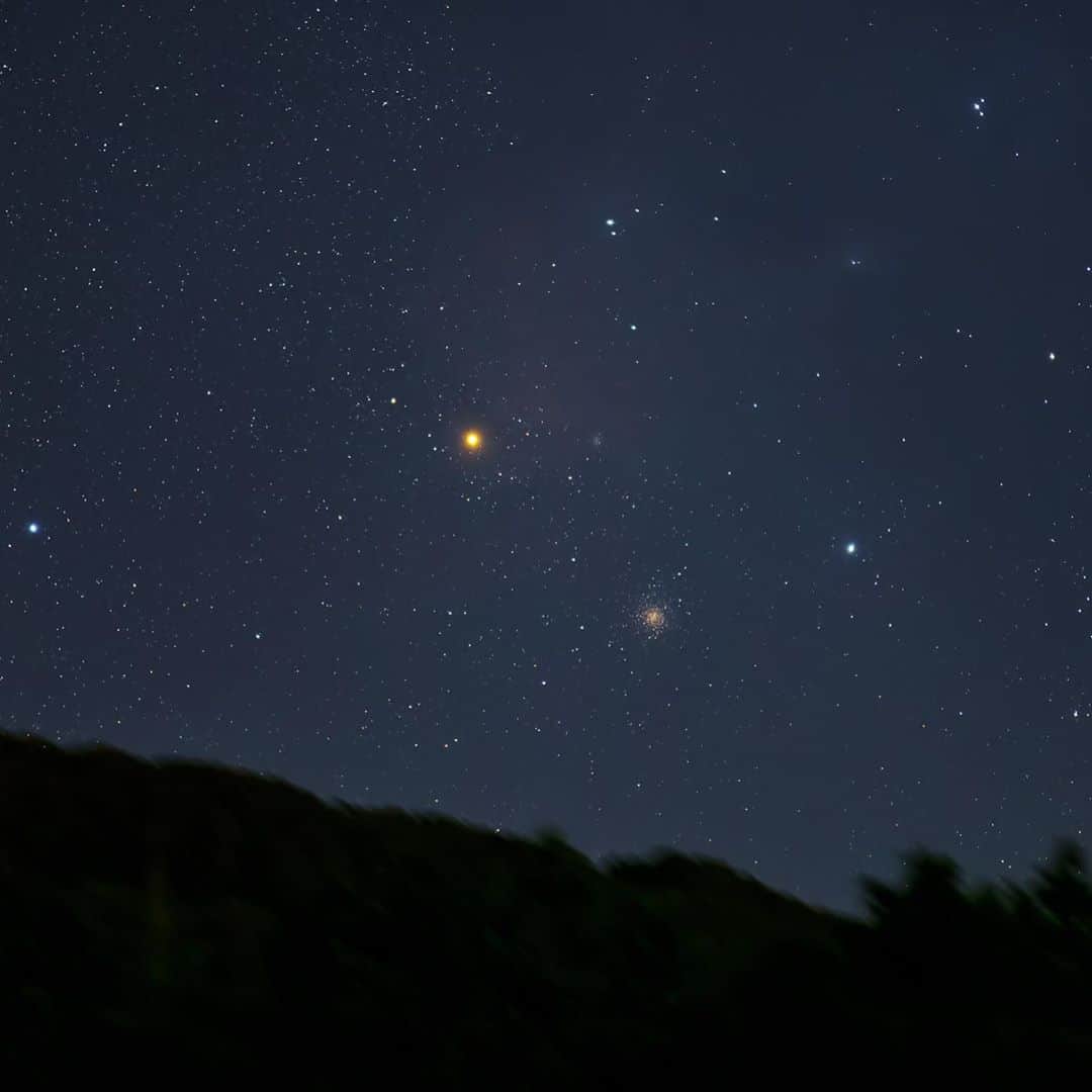KAGAYAさんのインスタグラム写真 - (KAGAYAInstagram)「昨晩撮影した夜空の赤い星たちです。 1, 沈むアンタレス 2, 昇る火星 1枚目のアンタレスの右下に写っている星の集まりは球状星団M4です。 アンタレスの写真が20:30頃、火星が21:50頃です。昨晩は風が強かったです。 今日もお疲れさまでした。 #星空」9月9日 22時27分 - kagaya11949