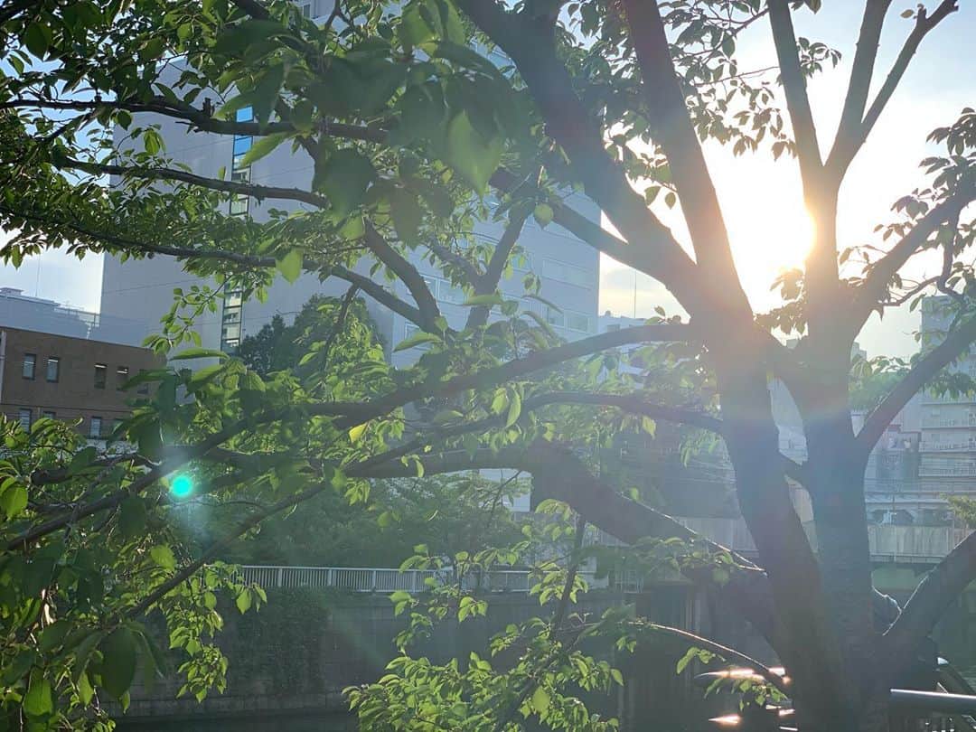 加弥乃さんのインスタグラム写真 - (加弥乃Instagram)「‪嬉しい再会と‬ ‪しびれる初めましてがあった今日‬  ‪帰り路の光が綺麗でした🌿‬」9月9日 22時31分 - kayano210