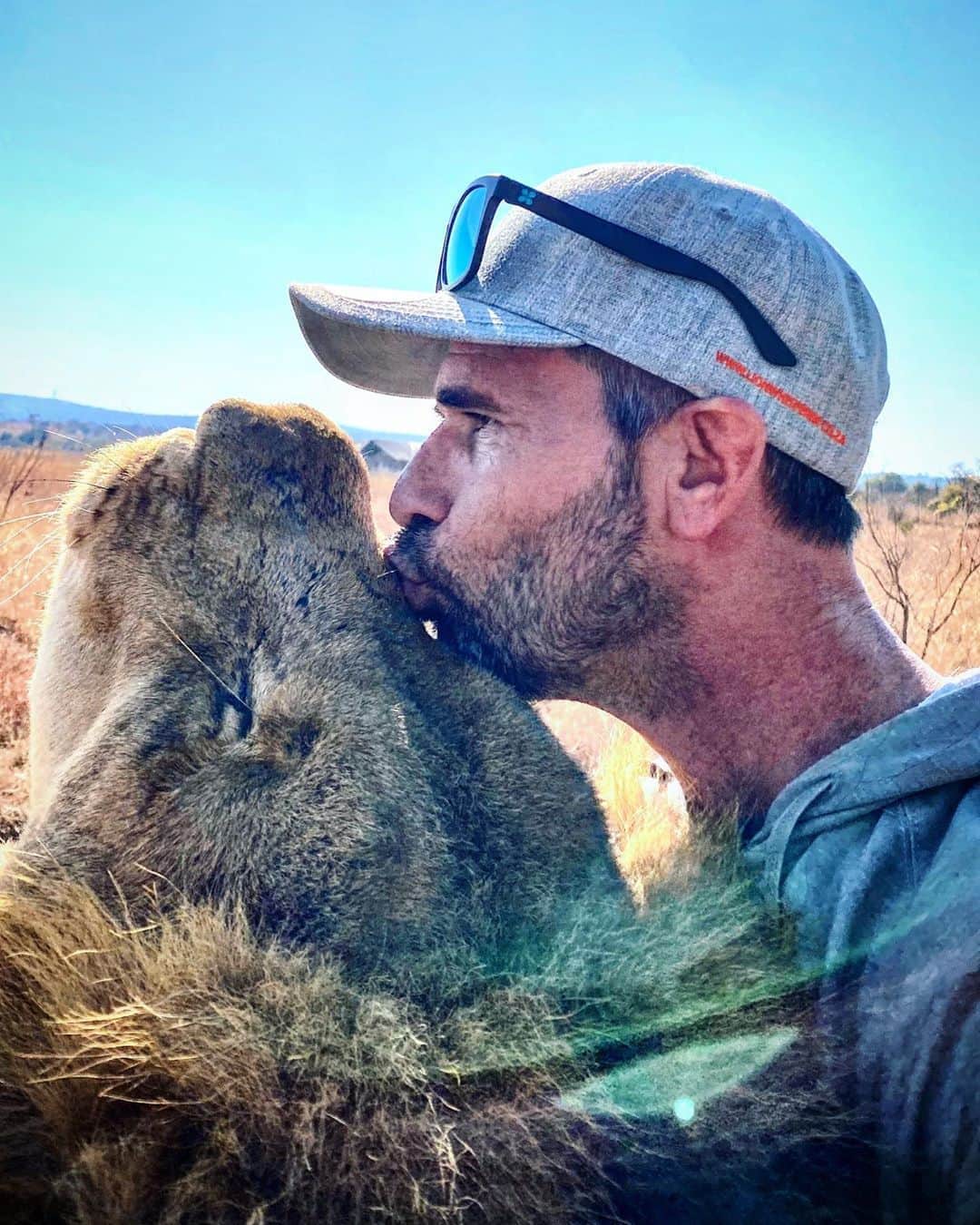 Kevin Richardson LionWhisperer さんのインスタグラム写真 - (Kevin Richardson LionWhisperer Instagram)「Seems to apply to lions too.   "𝗪𝗲 𝗵𝗮𝘃𝗲 𝗱𝗼𝗼𝗺𝗲𝗱 𝘁𝗵𝗲 𝘄𝗼𝗹𝗳 𝗻𝗼𝘁 𝗳𝗼𝗿 𝘄𝗵𝗮𝘁 𝗶𝘁 𝗶𝘀, 𝗯𝘂𝘁 𝗳𝗼𝗿 𝘄𝗵𝗮𝘁 𝘄𝗲 𝗱𝗲𝗹𝗶𝗯𝗲𝗿𝗮𝘁𝗲𝗹𝘆 𝗮𝗻𝗱 𝗺𝗶𝘀𝘁𝗮𝗸𝗲𝗻𝗹𝘆 𝗽𝗲𝗿𝗰𝗲𝗶𝘃𝗲 𝗶𝘁 𝘁𝗼 𝗯𝗲 –𝘁𝗵𝗲 𝗺𝘆𝘁𝗵𝗼𝗹𝗼𝗴𝗶𝘇𝗲𝗱 𝗲𝗽𝗶𝘁𝗼𝗺𝗲 𝗼𝗳 𝗮 𝘀𝗮𝘃𝗮𝗴𝗲 𝗿𝘂𝘁𝗵𝗹𝗲𝘀𝘀 𝗸𝗶𝗹𝗹𝗲𝗿 – 𝘄𝗵𝗶𝗰𝗵 𝗶𝘀, 𝗶𝗻 𝗿𝗲𝗮𝗹𝗶𝘁𝘆, 𝗻𝗼 𝗺𝗼𝗿𝗲 𝘁𝗵𝗮𝗻 𝗮 𝗿𝗲𝗳𝗹𝗲𝗰𝘁𝗲𝗱 𝗶𝗺𝗮𝗴𝗲 𝗼𝗳 𝗼𝘂𝗿𝘀𝗲𝗹𝗳." ― 𝗙𝗮𝗿𝗹𝗲𝘆 𝗠𝗼𝘄𝗮𝘁」9月9日 22時31分 - lionwhisperersa