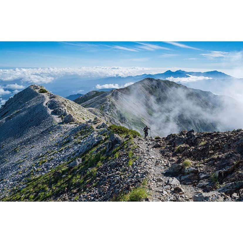 登山*トレッキング*アウトドア『.HYAKKEI』さんのインスタグラム写真 - (登山*トレッキング*アウトドア『.HYAKKEI』Instagram)「8月の #monthly百景 の発表です✨﻿ ﻿ みなさま沢山のご応募ありがとうございました！﻿ 本当に素晴らしい写真ばかりで、タグ欄が素敵なギャラリーになっております……！！﻿ その中でも、思わず目に留まる夏山らしいお写真、5枚をご紹介いたします。﻿ ﻿ ﻿ 1枚目…… @ma.ki0420 さん﻿ 白馬三山を写した一枚。﻿ 雲海と山のバランスが素晴らしい写真です！﻿ 構図もギリギリまで攻めていて、思わず目に留まる一枚でした。﻿ ﻿ 2枚目…… @shopan178 さん﻿ 白馬だけから栂池までの空中散歩の楽しさが伝わってくる一枚です。﻿ これから歩く道、または歩いてきた道なのか、奥まで続く稜線にうっとり。﻿ ﻿ 3枚目…… @fukosan さん﻿ ブルーオレンジ、そしてグリーンの色合いが美しい一枚。その美しさ思わず目に留まりました。一瞬だけの自然が作り出す色にハッとしますね。﻿ ﻿ 4枚目…… @ooo01y さん﻿ ガスと朝日が作り出す美しいひとときです。﻿ 山の朝の一瞬一瞬って、まばたきをするごとに変わっていく儚い時間ですよね。まさにその一瞬を捉えた一枚です。﻿ ﻿ 5枚目…… @gaogaogao さん﻿ 八ヶ岳の美しい森の一枚です。﻿ 樹林帯の木漏れ日を歩く幸せを感じる写真です。﻿ 光が差す森にハッと足を止めちゃうときありますよね。﻿ ﻿ ﻿ ﻿ 素敵なギャラリーになりました！﻿ ありがとうございます！！﻿ 9月もmonthly百景を予定しておりますので、みなさまの9月の写真も楽しみにしております✨✨﻿ ﻿ ﻿ #hyakkeime﻿ #登山好きな人と繋がりたい #登山 #山登り #山歩き #山ガール #登山女子 #山ボーイ #山バカ #landscape #絶景 #日本の絶景 #as_archive #vsco #reco_ig #光と影 #空 #sky #自然美 #夏山」9月9日 23時12分 - hyakkei_me