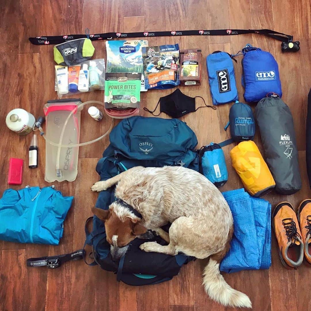 REIさんのインスタグラム写真 - (REIInstagram)「Y'all certainly love your outdoor gear! Even if you're not able to get outside and #RecreateResponsibly right now, you certainly had fun organizing your favorite gear. Thanks to everyone who participated in last week's #REIchallenge. Here are some of our favorites.   Photos: @burly.girl, @matthew.g.millican, @laurelharmon, @m_martinez24, @backpacker.baes, @mikehodge and @tukes_travels.」9月10日 9時17分 - rei