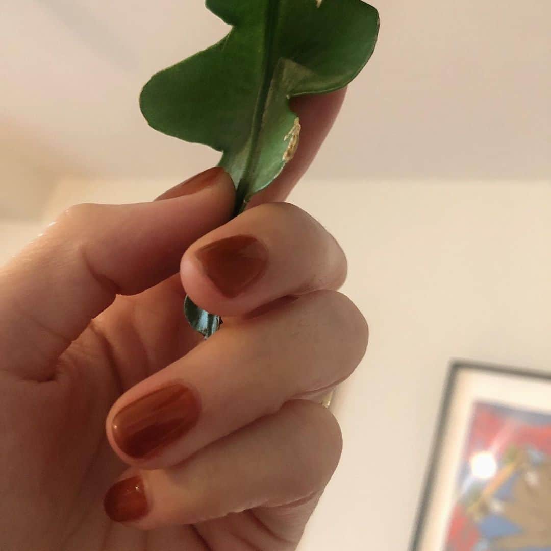 大桑マイミのインスタグラム：「nail＆睫毛新しく。 まだまだ残暑ではありますが、秋を意識して　キャメルに。　🍮シロップにありそうでなんだか美味しそうな可愛い色にしました。 睫毛はナチュラルに。 @salonbdaikanyama  いつもお世話になってます。」