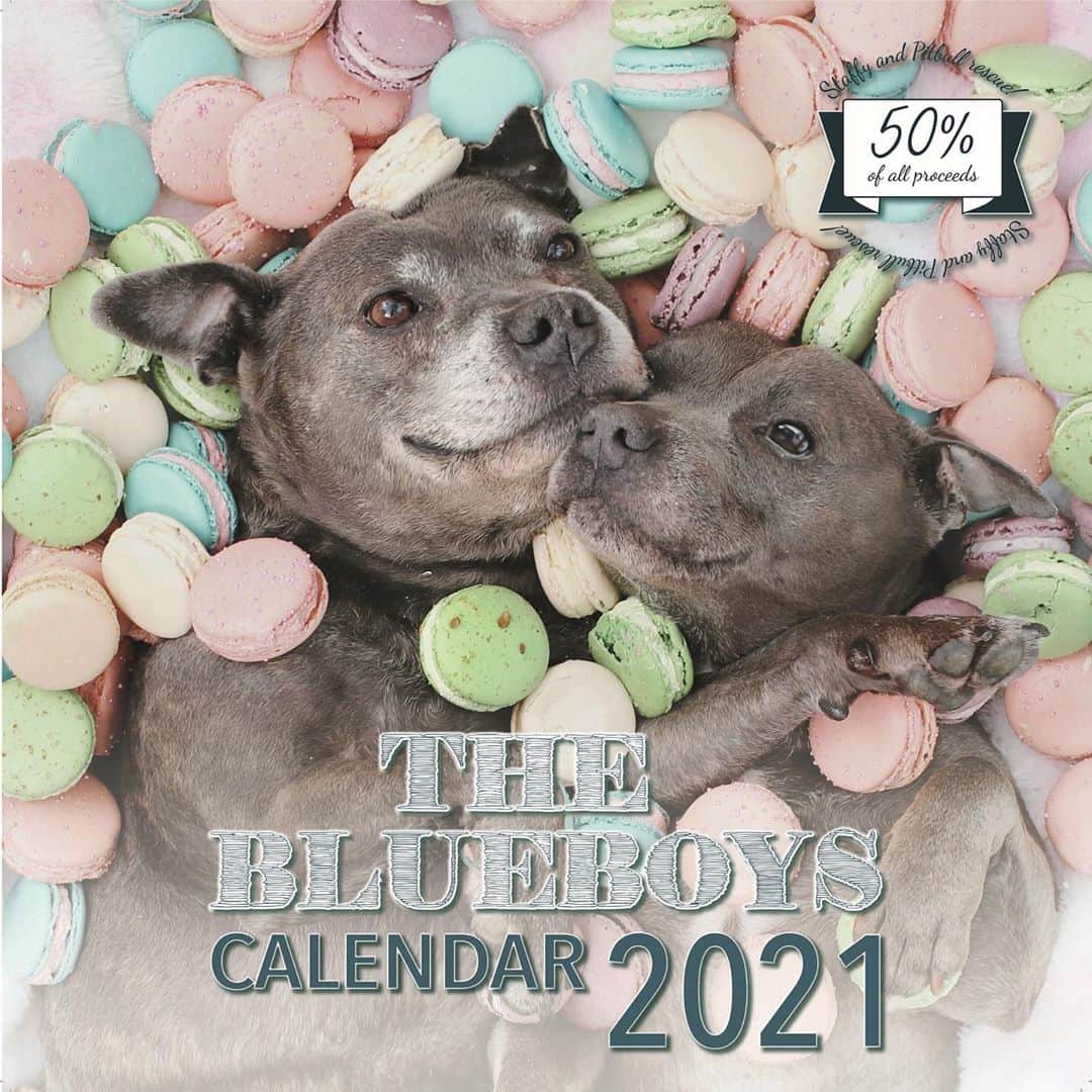 DARREN&PHILLIPさんのインスタグラム写真 - (DARREN&PHILLIPInstagram)「😱 It’s live!!! The official release of our 2021 Blueboys calendar is here!! 😍😍😍👏🏻👏🏻👏🏻 Available now via the link in our bio! So much work has gone into this calendar and we can’t wait for you to see it! Go buy one or two, we just know you will love them!」9月10日 10時02分 - the_blueboys
