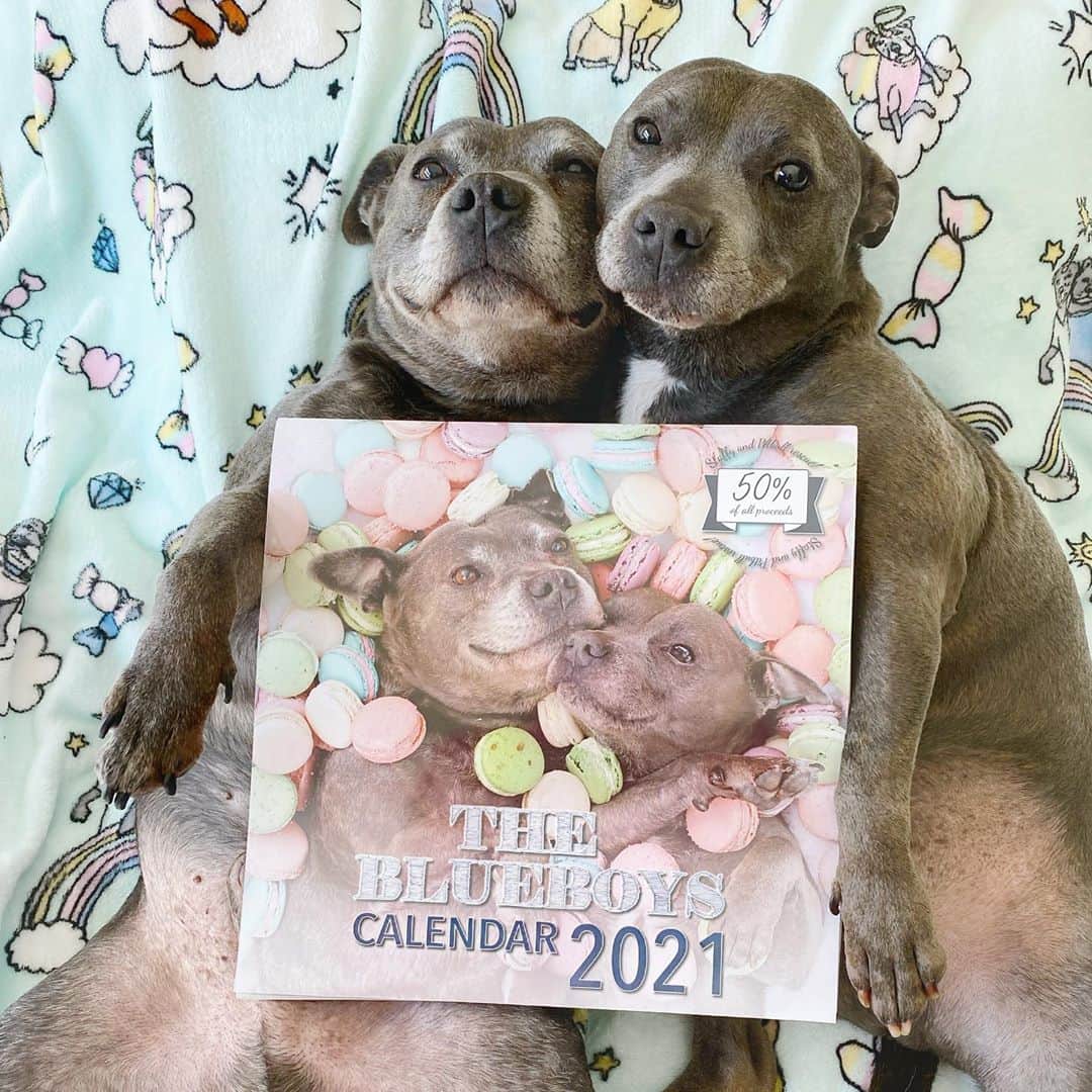 DARREN&PHILLIPさんのインスタグラム写真 - (DARREN&PHILLIPInstagram)「😱 It’s live!!! The official release of our 2021 Blueboys calendar is here!! 😍😍😍👏🏻👏🏻👏🏻 Available now via the link in our bio! So much work has gone into this calendar and we can’t wait for you to see it! Go buy one or two, we just know you will love them!」9月10日 10時02分 - the_blueboys