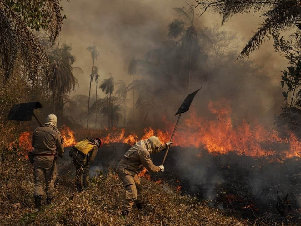 ルアン・サンタナさんのインスタグラム写真 - (ルアン・サンタナInstagram)「Como pessoa nascida e criada no Pantanal meu coração dói ao ver imagens como essa... os governos precisam agir. O fogo hoje chegou ao maior santuário para onças pintadas do mundo, o Pantanal pede socorro #SavePantanal #SalveOPantanal #pantanal #pantanalmatogrossense」9月10日 1時16分 - luansantana