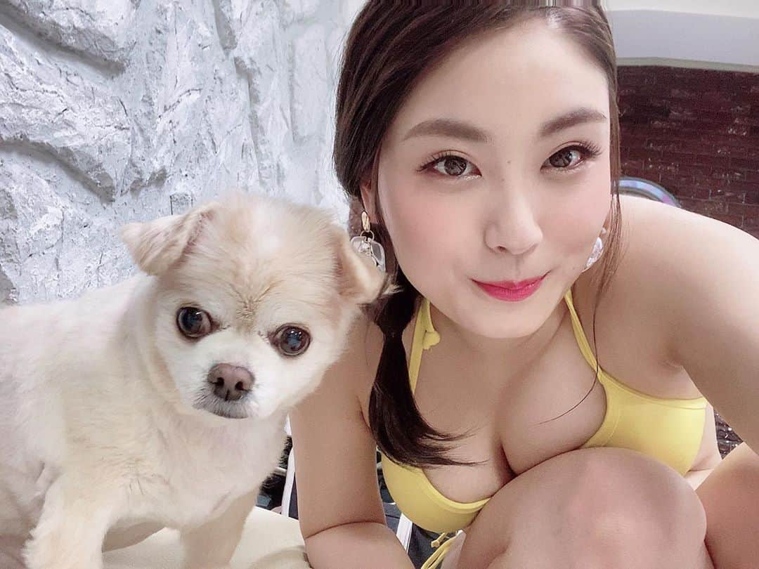 トロたんさんのインスタグラム写真 - (トロたんInstagram)「こう見えてお犬様とどう接していいか分からない派です🙄(∪・ω・)、、笑 おやすみ地球人〜( ¯꒳​¯ )ᐝ #Goodnight #おやすみ #おやすみなさい #おやすみ地球人 #自撮り #グラドル自画撮り部 #自撮り女子 #自撮り界隈  #インスタグラビア #撮影会 #撮影会モデル  #selfie #self #japanese #japanesegirl #粉我 #我爱你 #我倒 #movie #グラビア #followme #follow  #Love  #sexy #谷間 #水着  #photo #me  #사랑해 #셀카」9月10日 1時31分 - torotan_tan