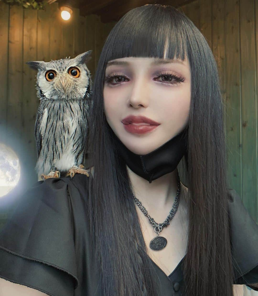 chiiiiiさんのインスタグラム写真 - (chiiiiiInstagram)「使い魔にするとしたら... 梟か猫かで迷うんだ🦉🌙🐈 烏もいいね」9月10日 1時47分 - xchix328