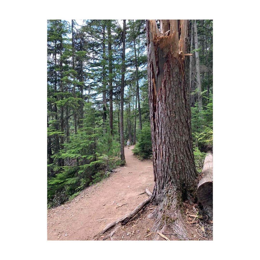 コビー・スマルダーズのインスタグラム：「Missing this view today. #butidontwanttogotoZoomschool」