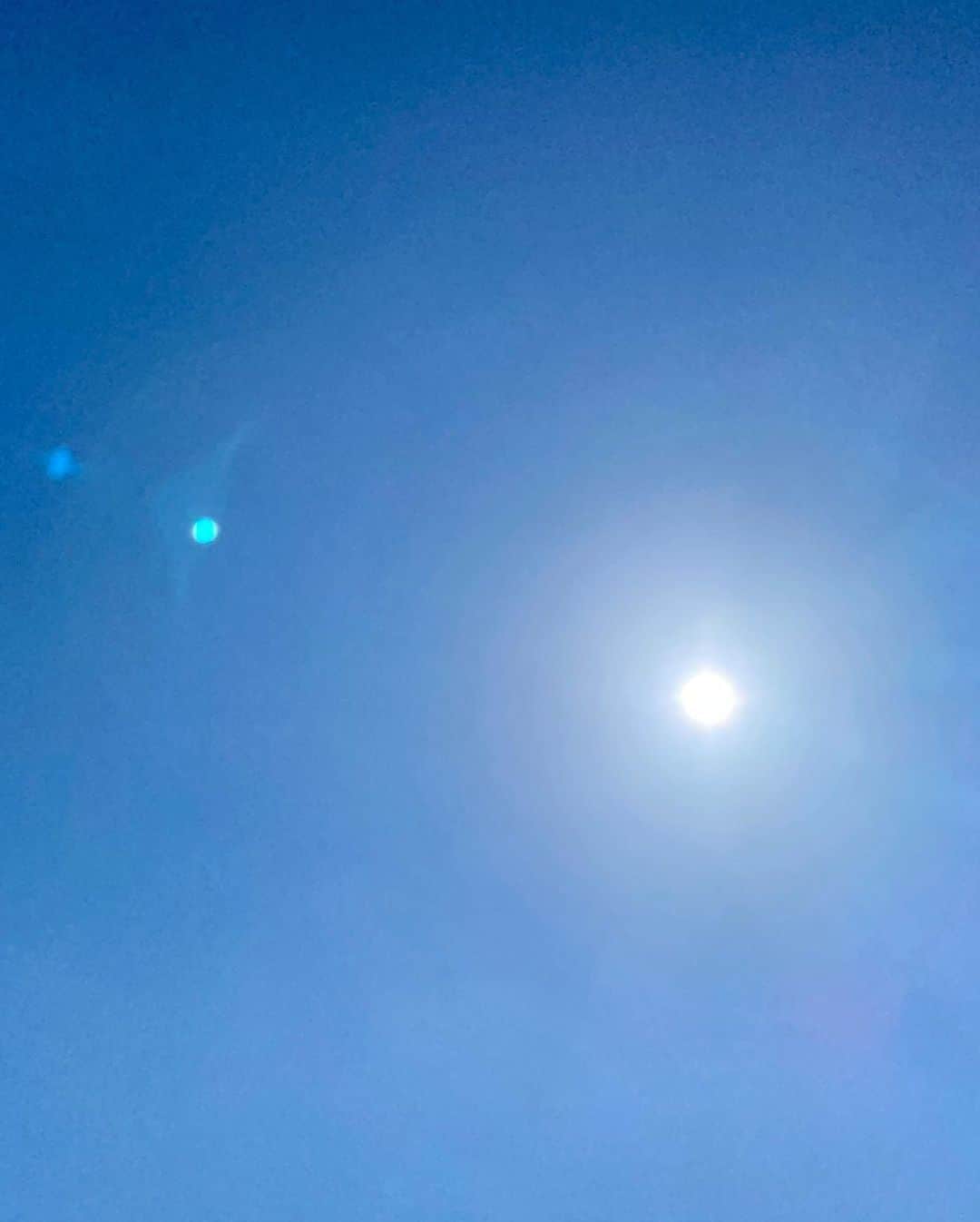 古本新乃輔さんのインスタグラム写真 - (古本新乃輔Instagram)「でもって、  昨日は 午前の１時間、  ぬいぐるみちゃん達と 一緒に自分干し。  表裏、30分づつ 雲一つ無い青空の下、  来たるあの、"アイツ"  に向けて、 着々と準備を進めるのであります。」9月10日 3時32分 - shinnosukefurumoto