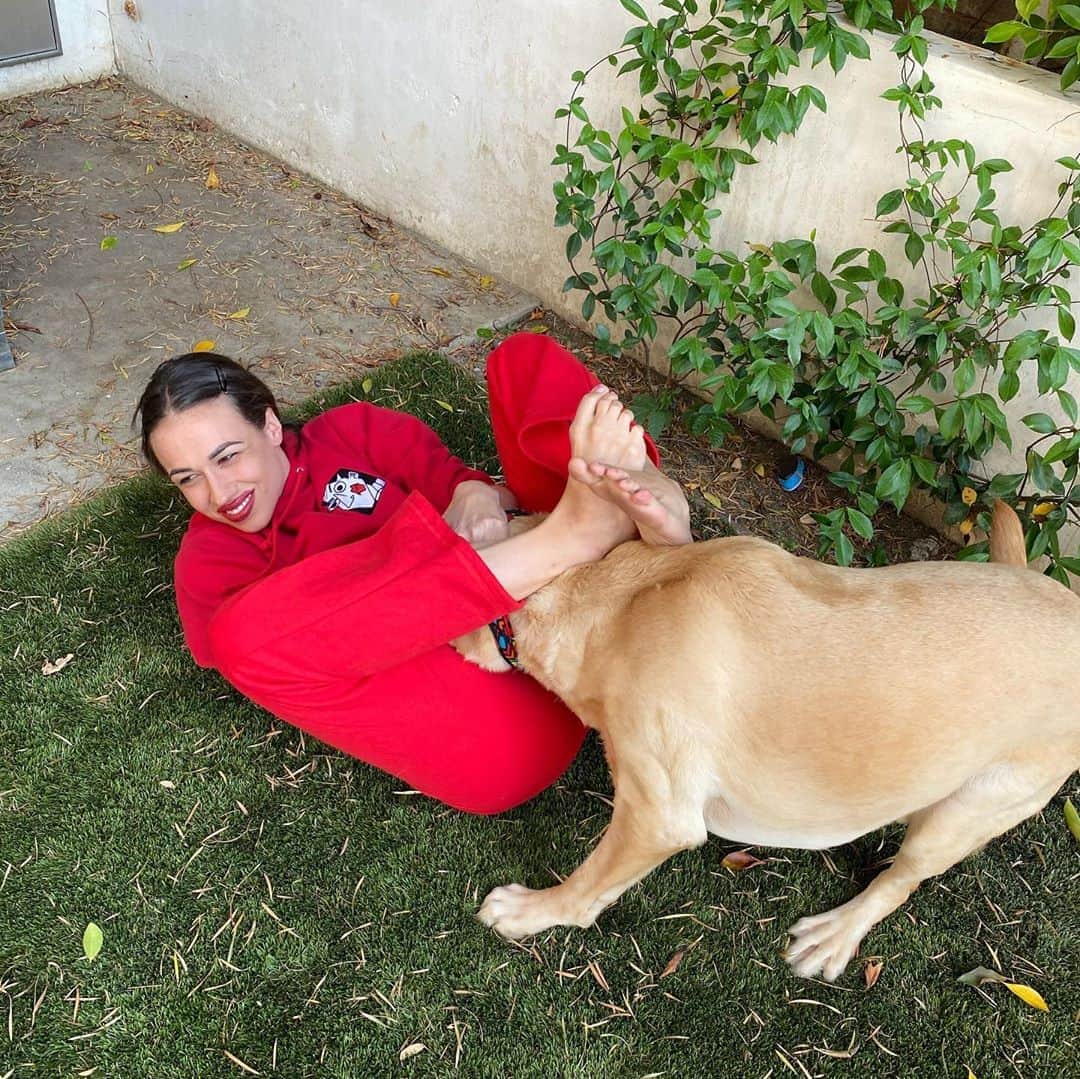 ミランダ・シングスさんのインスタグラム写真 - (ミランダ・シングスInstagram)「dogs@love balls.」9月10日 3時53分 - mirandasingsofficial