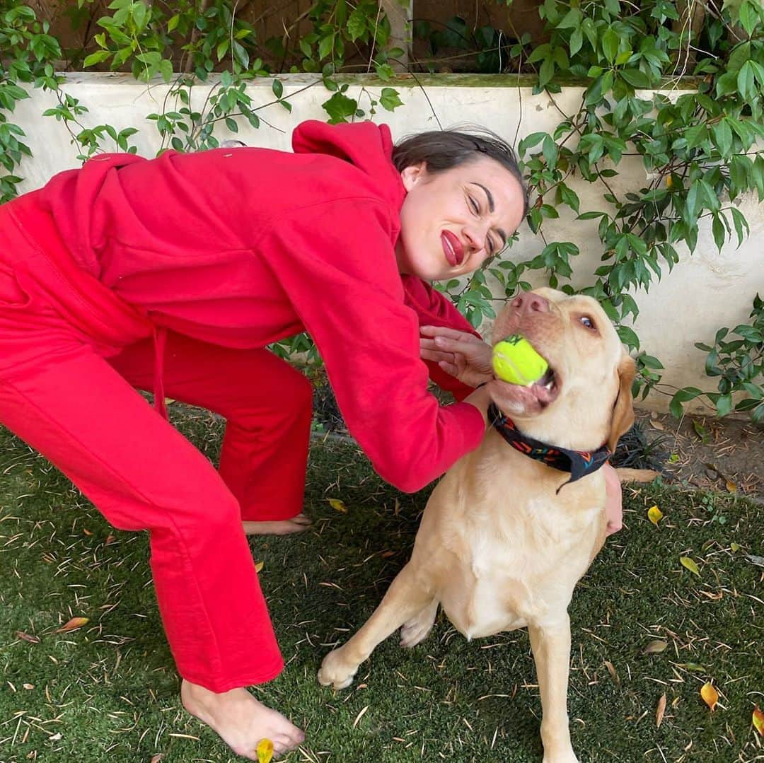 ミランダ・シングスさんのインスタグラム写真 - (ミランダ・シングスInstagram)「dogs@love balls.」9月10日 3時53分 - mirandasingsofficial