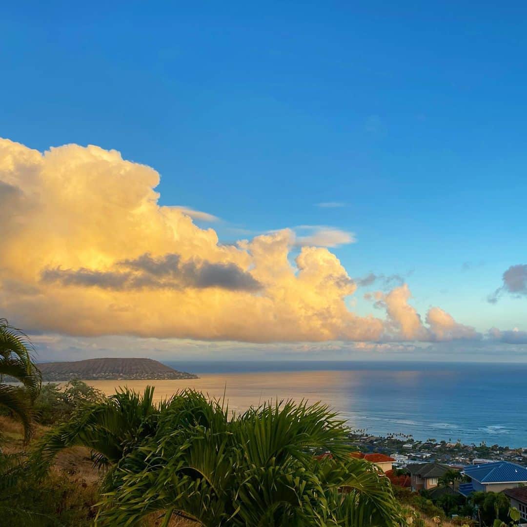 マキ・コニクソンさんのインスタグラム写真 - (マキ・コニクソンInstagram)「Lockdown Day 14 ハワイからおはよー！ Happy Aloha Wednesday! 今日も良いお天気になりそう！  今朝の雲は海に反射してるのがまるでガラスに反射してるみたい。美しいー！✨✨  私、雲一つない青空も好きだけど空と雲のコンビが好きなんだよねっ。毎日違う顔してるし自然の素晴らしさを感じる！ まさに自然万歳🙌🏼！  今日も”ソロ”でワンズとエンジョイします！ お互いアロハッピーで元気な 一日を過ごそうね！😄🤙🏼 #エアハワイ🌺  #リアルハワイ  #やるっきゃない！💪🏼 #alohappy😄🤙🏼」9月10日 5時01分 - makikonikson