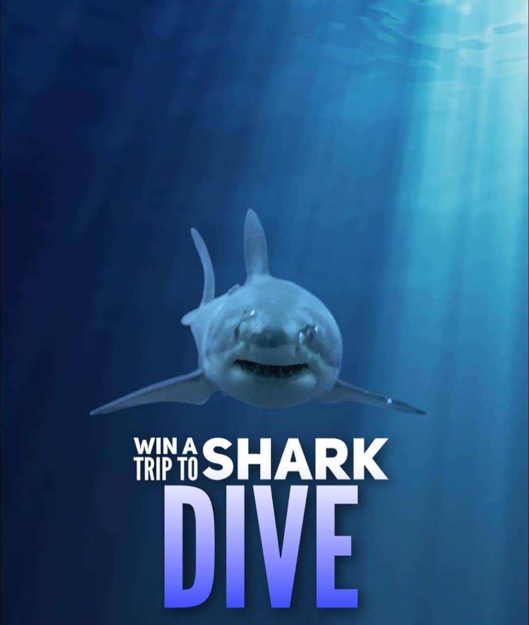 WildLifeのインスタグラム：「2021 GREAT WHITE SHARK GIVEAWAY! WIN A 5 DAY LIVEABOARD TRIP TO GO SHARK CAGE DIVING IN GUADALUPE ISLAND  ONBOARD THE  @solmarv , To WIN:  1.GO Follow: @discoversharkstours and also follow every account they are following (it only takes 10 seconds to follow all accounts)  2. Like this post  3. Tag a friend . 4. (Bonus) Share this post on your IG Story for an additional entry!  The winner will be chosen randomly ‪on October 5th 2020 & announced on @discoversharkstours account LIVE   Congratulations to im_tripped_ for winning our last Giveaway!   Rules:  Is Mandatory to follow all accounts from @discoversharkstours if the winner is chosen and the person doesn’t follow all accounts the winner will be disqualified.   Please Note: This sweepstake is in no way sponsored, administered, or associated with Instagram, PayPal, TransferWise, or any Brands in the contest images. By entering, entrants confirm they are 18+ years of age, release Instagram of responsibility, and agree to Instagram's term of use. / Content by @jalilnajafov」