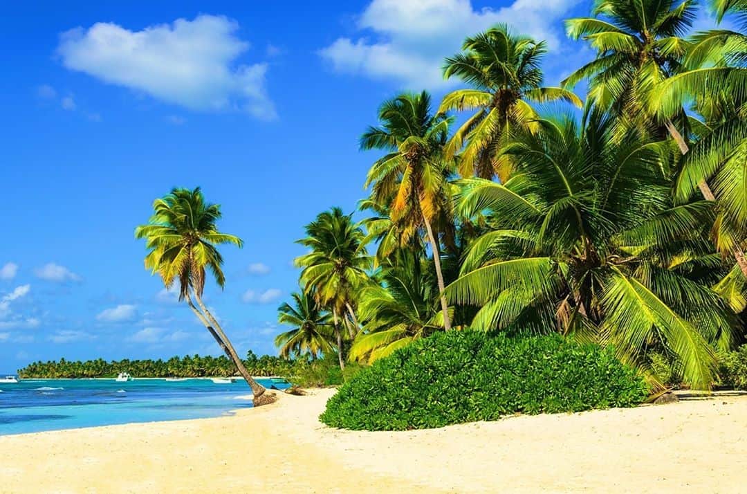 Lonely Planetのインスタグラム：「🏖️Everyone needs sunshine and Dominican Republic wants you to enjoy theirs.   The Dominican Republic is dropping its mandatory COVID-19 testing requirement for travelers and is now providing them with free insurance as part of its new Responsible Tourism Recovery Plan.  Tap the link in our bio to find out all the details.」