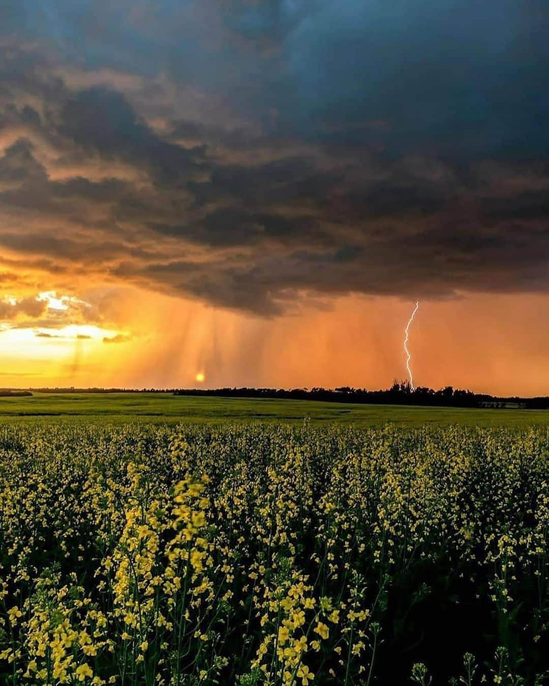 Canon Photographyさんのインスタグラム写真 - (Canon PhotographyInstagram)「Stunning landscapes of Alberta.  Photography // @markjinksphoto Curated by @steffeneisenacher  #alberta #canada #visitalberta #thunderstorms #stormchasing」9月10日 6時17分 - cpcollectives