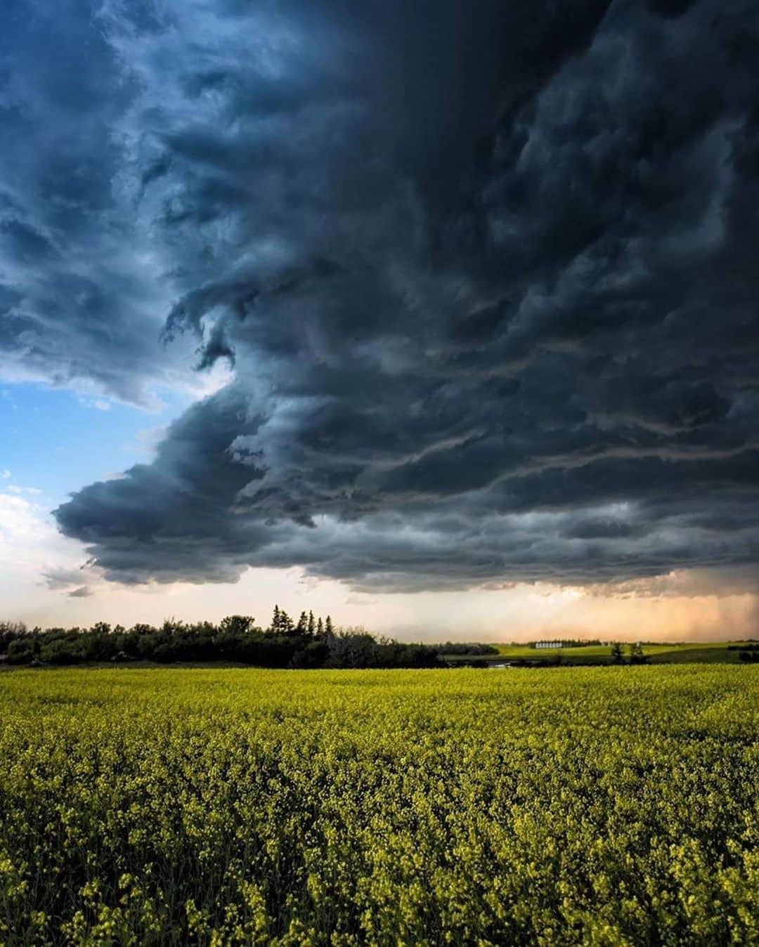 Canon Photographyさんのインスタグラム写真 - (Canon PhotographyInstagram)「Stunning landscapes of Alberta.  Photography // @markjinksphoto Curated by @steffeneisenacher  #alberta #canada #visitalberta #thunderstorms #stormchasing」9月10日 6時17分 - cpcollectives