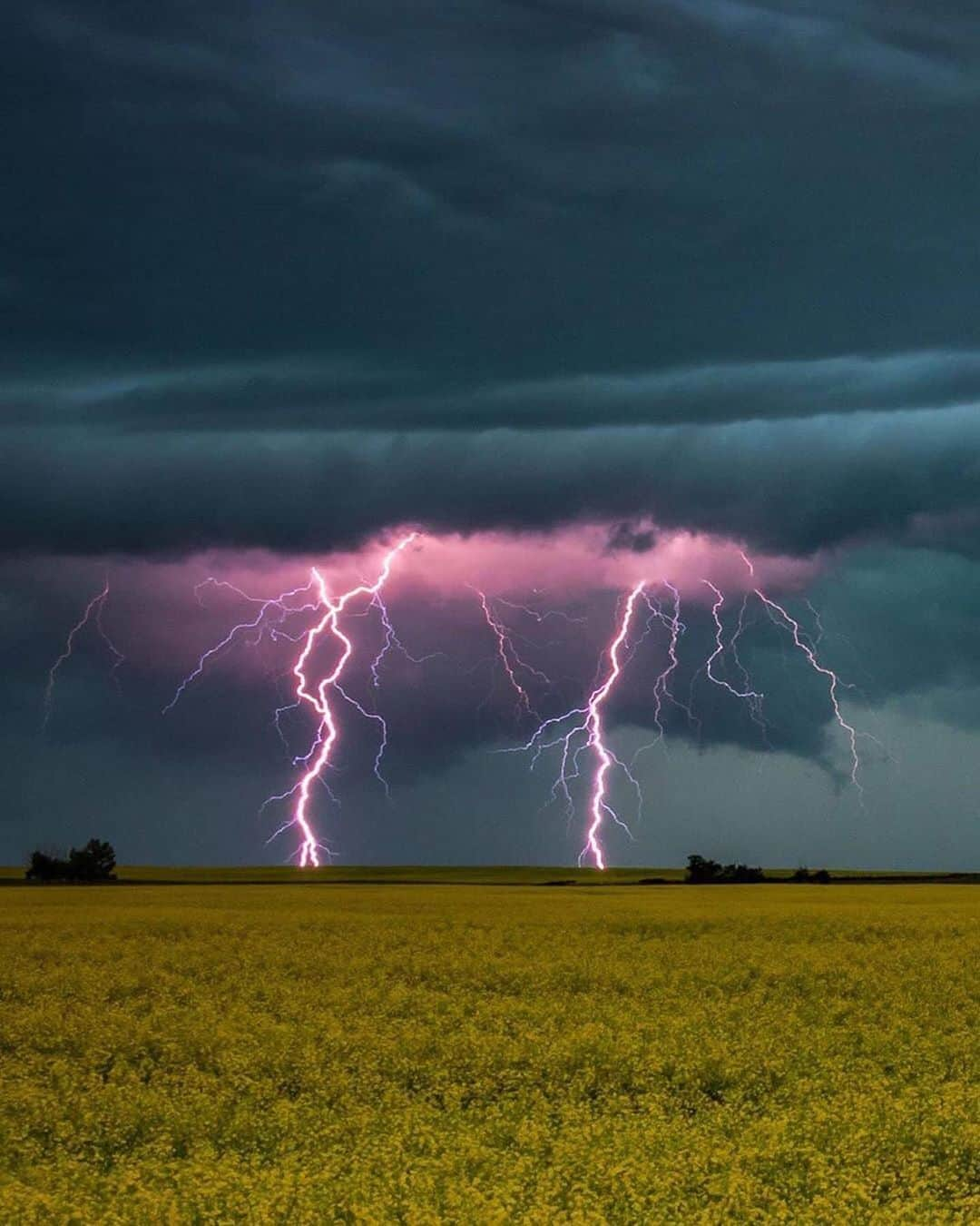 Canon Photographyさんのインスタグラム写真 - (Canon PhotographyInstagram)「Stunning landscapes of Alberta.  Photography // @markjinksphoto Curated by @steffeneisenacher  #alberta #canada #visitalberta #thunderstorms #stormchasing」9月10日 6時17分 - cpcollectives