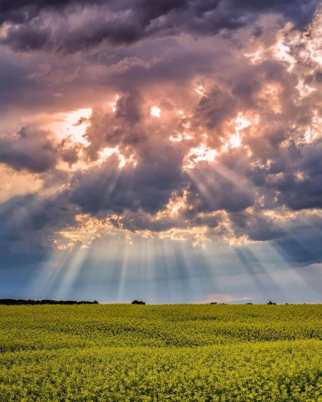 Canon Photographyさんのインスタグラム写真 - (Canon PhotographyInstagram)「Stunning landscapes of Alberta.  Photography // @markjinksphoto Curated by @steffeneisenacher  #alberta #canada #visitalberta #thunderstorms #stormchasing」9月10日 6時17分 - cpcollectives