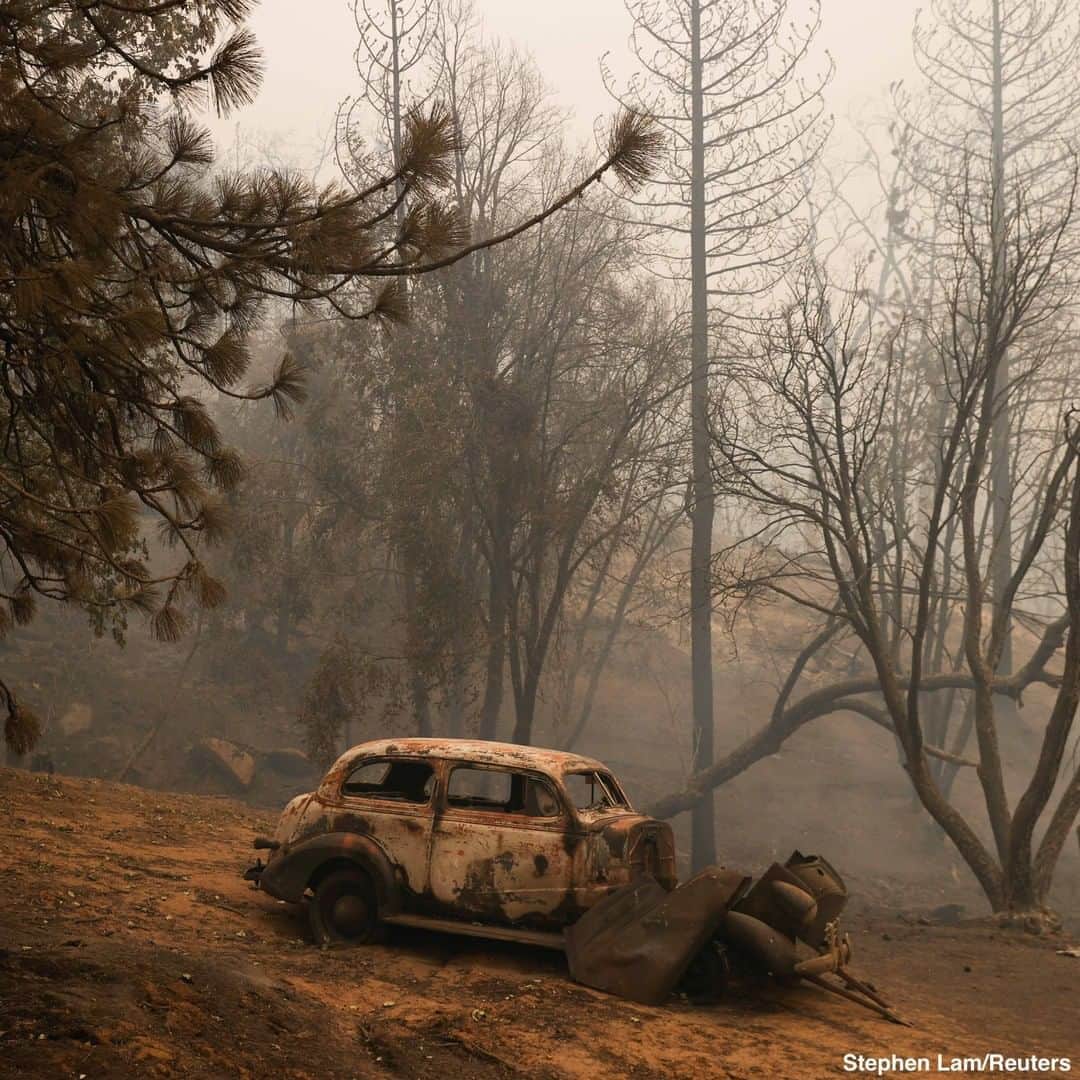 ABC Newsさんのインスタグラム写真 - (ABC NewsInstagram)「An American flag still stands amid a path of charred destruction wrought by the #CreekFire in Auberry, California, and surrounding areas. #auberry #california #wilfdire #fires」9月10日 6時18分 - abcnews
