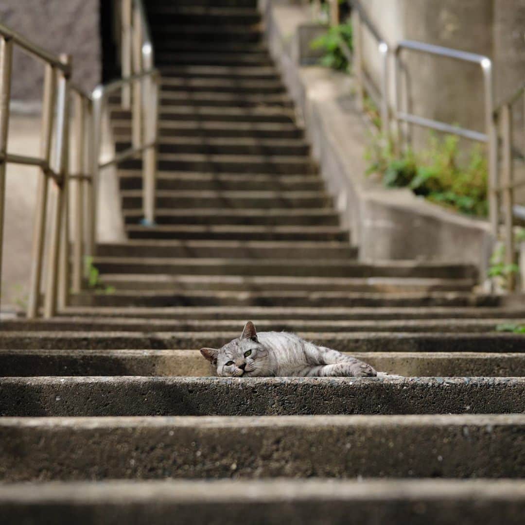 ををつかのインスタグラム
