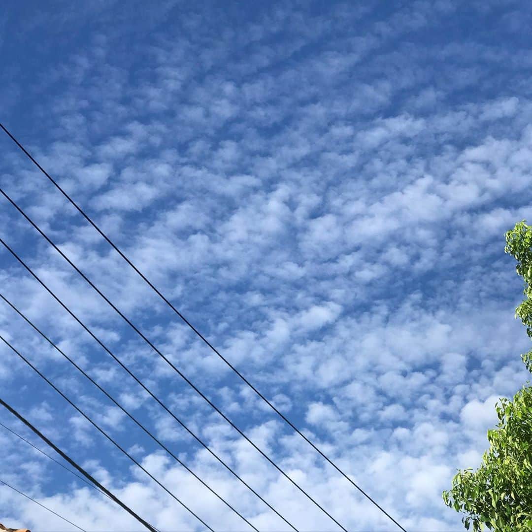 前野えまさんのインスタグラム写真 - (前野えまInstagram)「おはようございます☀  今日も1日楽しく頑張ろう！ ・ ・ #おはようございます #今朝の空 #空 #空が好き #空を見上げて   #goodmorning #todayssky #blue #sky #morningsun  #followme #tagsforlikes #tflers #tagsforlikesapp #portraitphotography #daily_phot_jpn #japan_daytime_view」9月10日 7時05分 - maeno_ema