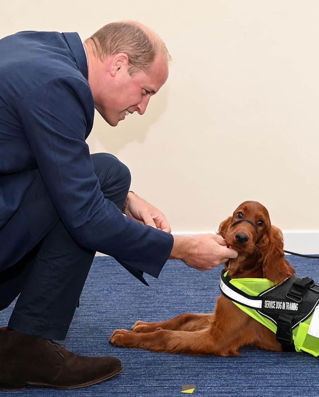 Just Jaredさんのインスタグラム写真 - (Just JaredInstagram)「Prince William spends the afternoon meeting Tara the PTSD training dog during his visit to a PSNI Wellbeing Volunteer Training Course! #PrinceWilliam Photos: Getty」9月10日 7時36分 - justjared