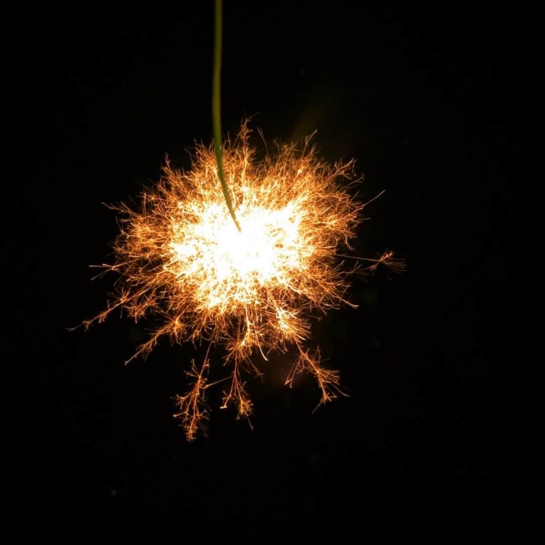 小原尚子のインスタグラム：「誕生日に1人で玄関で花火してました｡ 線香花火が一番好きです｡ 綺麗に撮れました｡ 家族からの誕プレは後日に現金でした｡ 複雑です｡寧ろ無い方が嬉しい様な 気もします｡ありがとうございました｡ フットネイル塗り替えました｡ 下手くそで泣きました｡ そんな毎日の薄い26歳です｡ #花火 #線香花火」