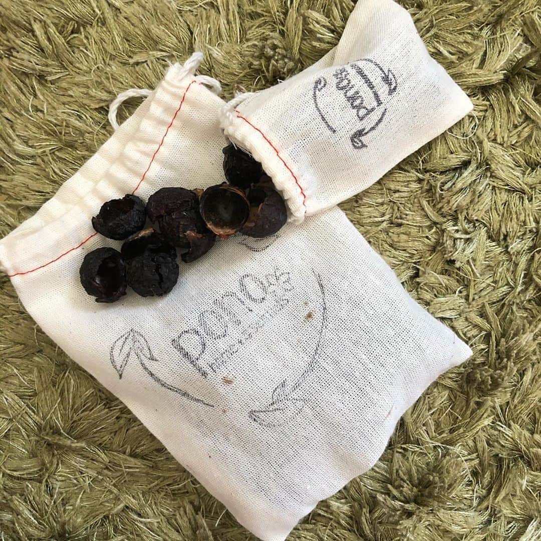 Honolulu Myohoji Missionさんのインスタグラム写真 - (Honolulu Myohoji MissionInstagram)「🌰 Guess what are these nuts for? It’s called #soapnuts and it’s for your daily #laundry   🤙🏾 no strong smells - artificial scents are sometimes harmful to people, so be careful with what you choose! 🤙🏾safe for baby - because there’s no chemicals! Simple logic! 🤙🏾 zero waste! - no struggle with throwing the huge laundry soap containers. Having lots of trash is not a natural state of our life.  What we used to have in our life is not always the best for your natural state of being. Sometimes even harmful to yourself or environment. Soap nuts are available to get in Oahu, like @downtoearthhi   * * * * #ハワイ #ハワイ好きな人と繋がりたい  #ハワイだいすき #ハワイ好き #ハワイに恋して #ハワイ大好き #ハワイ生活 #ハワイ行きたい #ハワイ暮らし #オアフ島 #ホノルル妙法寺 #HawaiianAirlines #ハワイアン航空 #思い出　#honolulumyohoji #honolulumyohojimission #御朱印女子 #開運 #穴場 #パワースポット #hawaii #hawaiilife #hawaiian #luckywelivehawaii #hawaiiliving #hawaiistyle #hawaiivacation」9月10日 8時20分 - honolulumyohoji