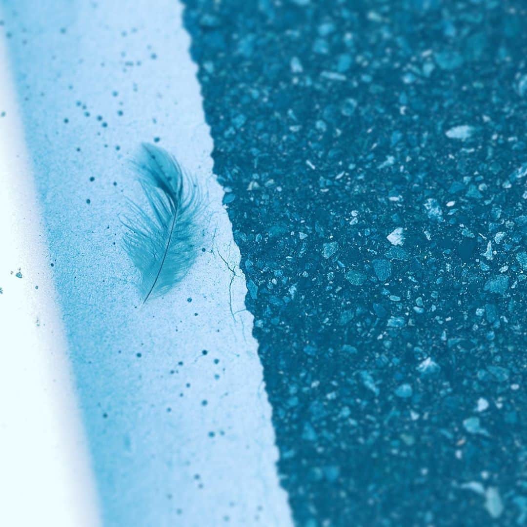 中野敬久さんのインスタグラム写真 - (中野敬久Instagram)「#fallen #feather #street #hane #hope #neighborhood」9月10日 8時33分 - hirohisanakano