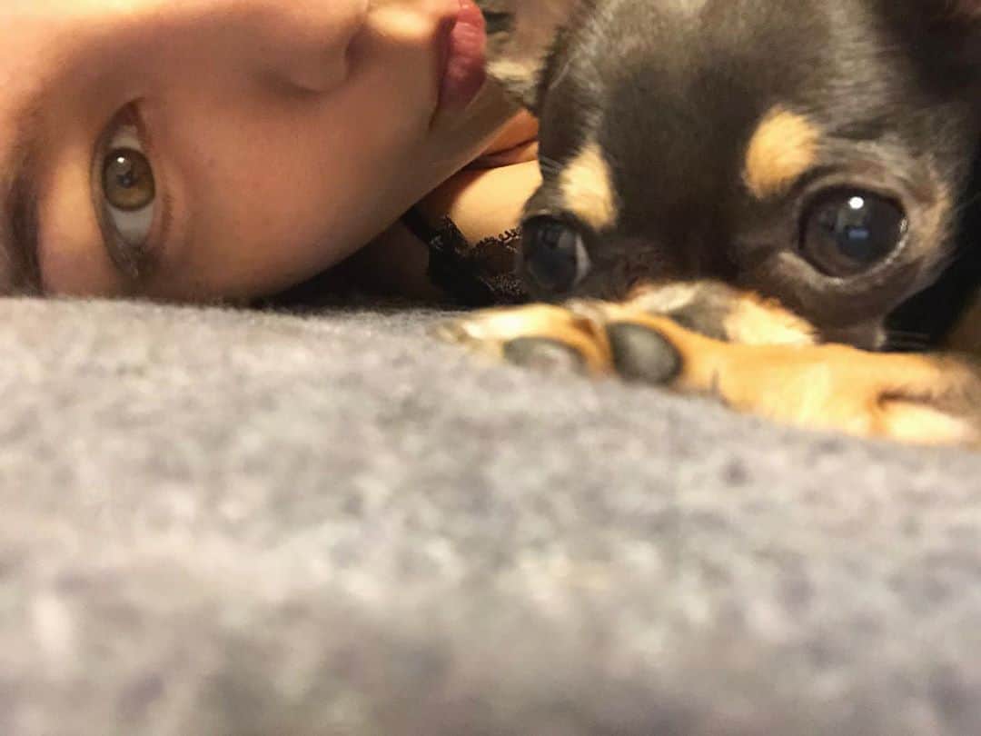 ステファニーのインスタグラム：「🐶💞🌷 Doggy Life.」
