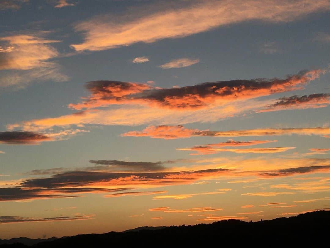村上シェリーのインスタグラム：「Salmon in the sky.  綺麗な空。 • 青空にシャケいっぱい🐟 • • • • • #sunset_pics  #sunsetphotography #sunsets #skyphotography #sky #tokyolife  #혼혈모델#혼혈여자모델#일본혼혈모델 #바크인스타일서울#모델촬영#모델#모델섭외 #女模特兒 #女模 #時尚模特兒 #亞洲 #東京 #sherrymurakami」