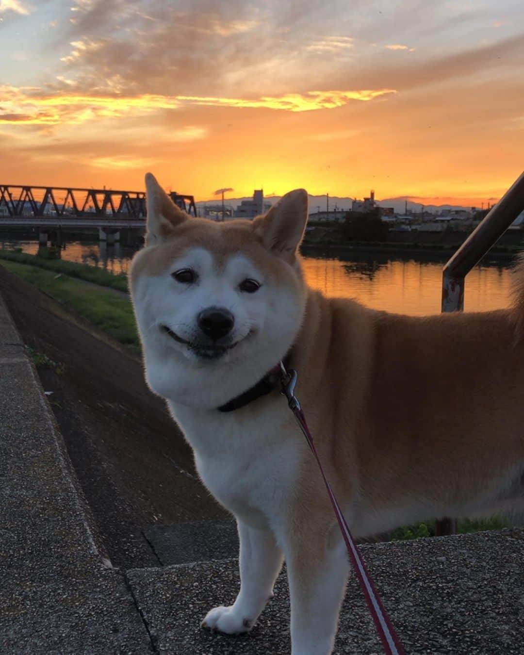 こなつさんのインスタグラム写真 - (こなつInstagram)「夕焼け🌇」9月10日 18時51分 - makonatu