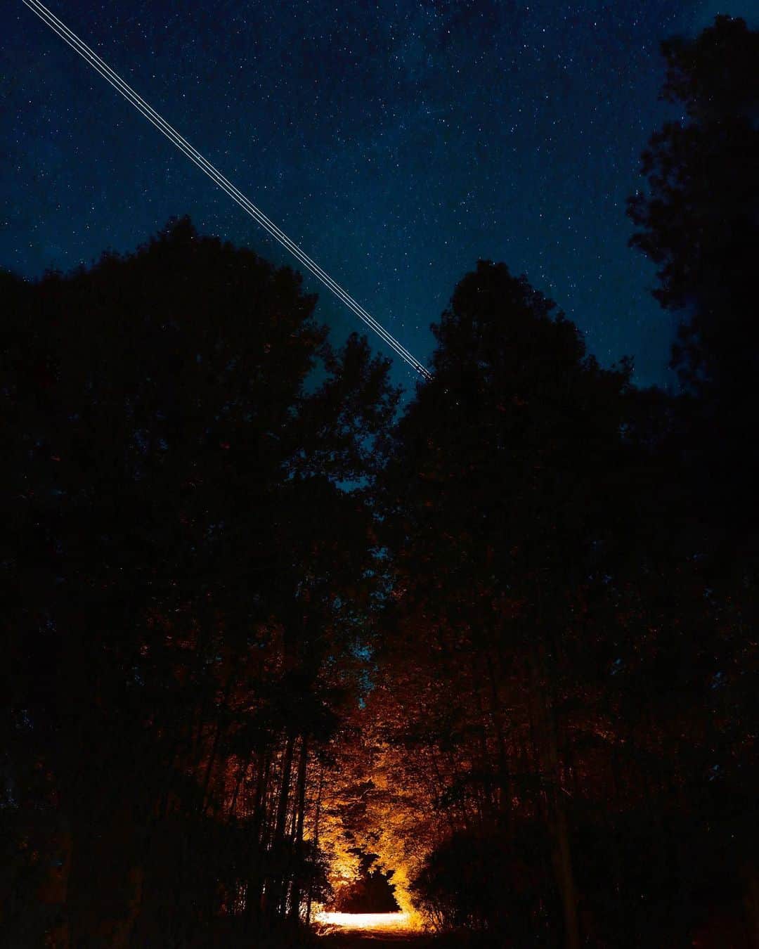 Cubby Grahamのインスタグラム：「May the forest be with you 🚀🌌」