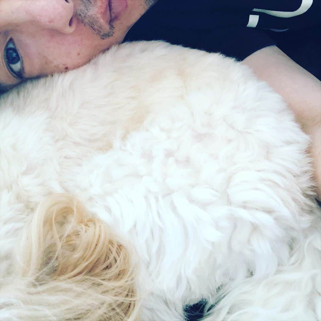 北山陽一のインスタグラム：「ソファに寝転がってたら飛び込んできた。#きたやまおもち」
