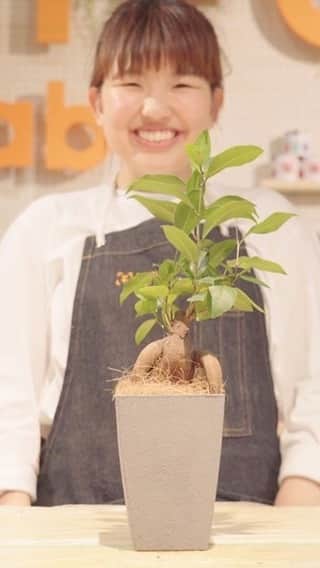 LIFULL HOME'S DIY Magのインスタグラム：「ご自宅での時間を楽しむために、この自粛期間で植物を育てはじめた方も多いのではないでしょうか🌿  たくさんの観葉植物の中から、お気に入りの1つを探すのは楽しいですよね。また、意外と困るのがおしゃれなプランターを探すのが難しいこと。  今回は、真っ白なプラスチックの鉢に、簡単なペイントリメイクをしてみました！セメント風の塗装を施すことでシックな印象になり、グリーンの色合いがより映えます。  教えてくれるのは、インスタライブでおなじみのDIY工房 @lifullfab のスタッフ、ぬまちゃん。 身近にあるアイテムを、DIYでどこまでおしゃれにできるか？  記事もあわせてぜひチェックしてね https://diy.homes.jp/movie/26330  @nippe_home_online」