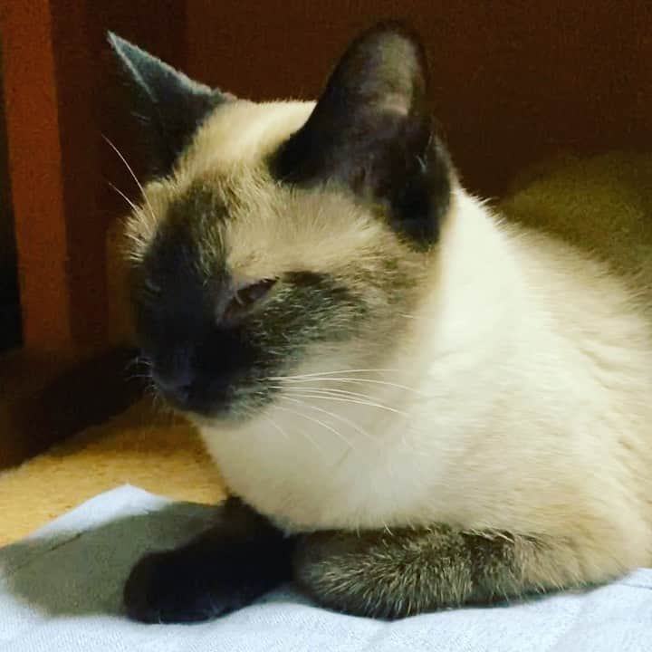 MAKO0MAKO0のインスタグラム