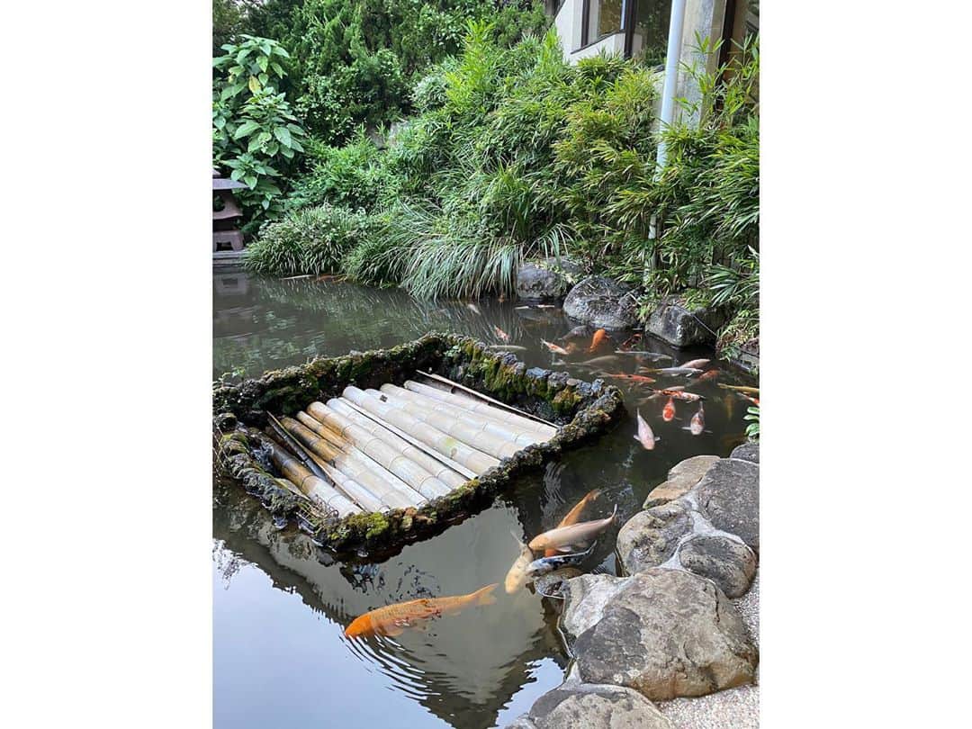 西村季里子さんのインスタグラム写真 - (西村季里子Instagram)「・  好きな浴衣を選べる旅館にして、 かなかとお揃いのものを選んだ🍒  いつもだったら淡い色味にするけど、 かなかに似合うこの色味にしたら 新鮮みがあってとても気に入った🥰  全然見た目も系統も違うのに、 好きなものが一緒だったりして 日々お揃いが増えてくわたちたち👯‍♀️♥️  #温泉 #温泉旅行  #温泉女子  #熱海 #熱海旅行  #旅館 #浴衣 #浴衣女子  #お揃い #お散歩 #follow#followｍe」9月10日 11時48分 - kiriko_nishimura