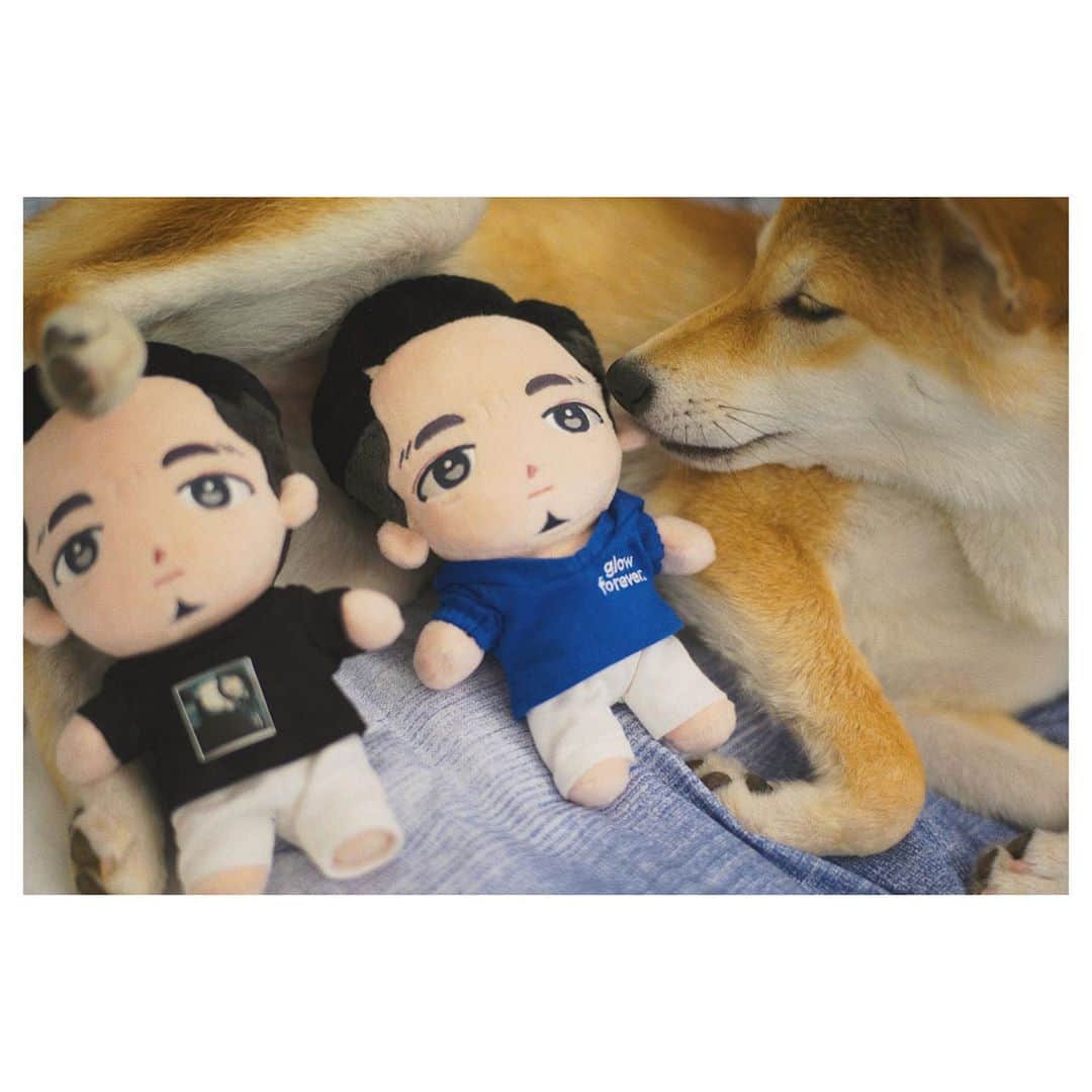 thequiettのインスタグラム：「@unvzms 님 작품 🙂🙏」