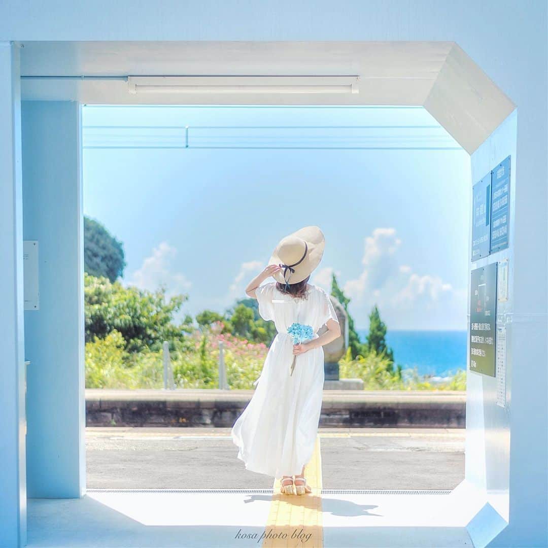 コサのインスタグラム