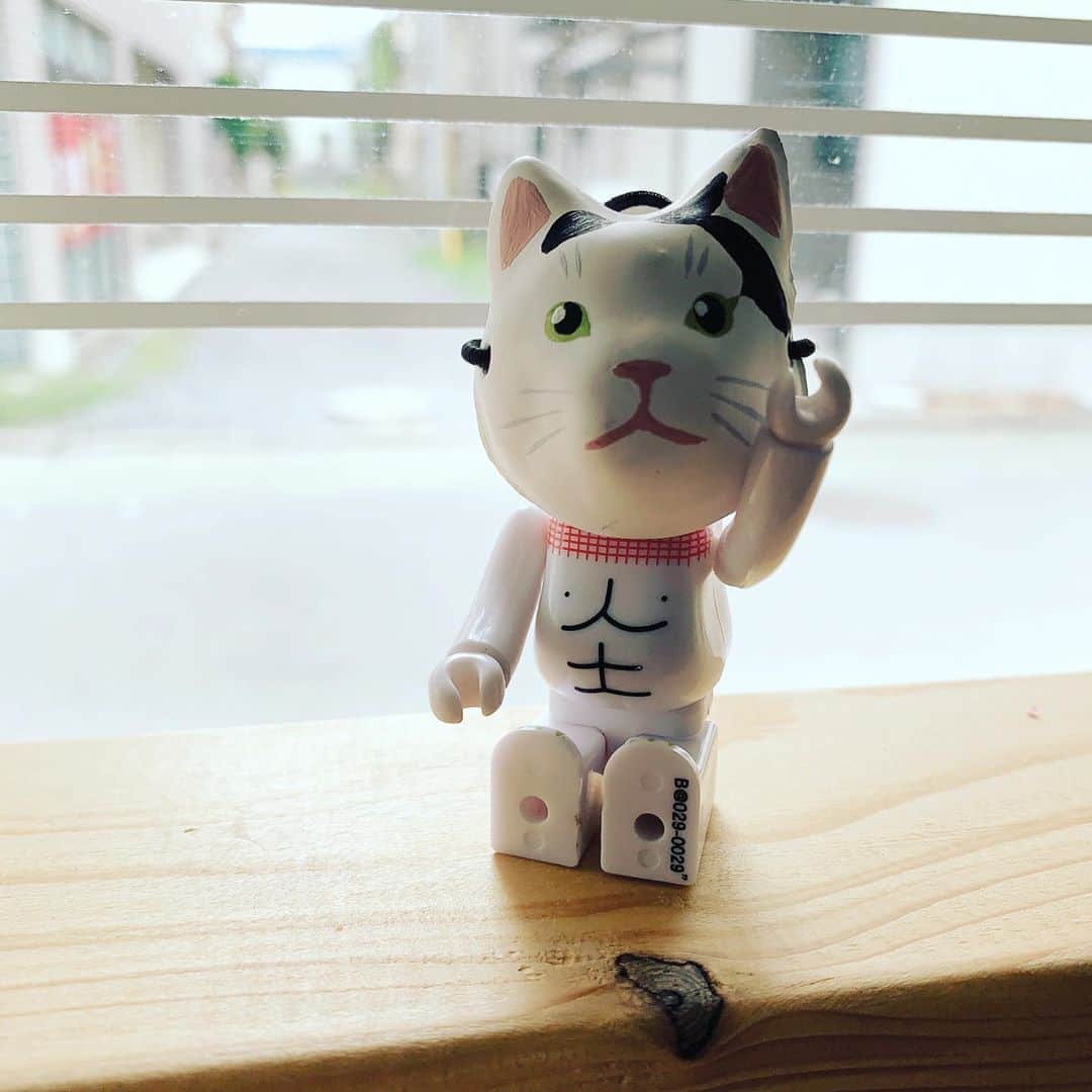Kachimo Yoshimatsuさんのインスタグラム写真 - (Kachimo YoshimatsuInstagram)「みんなのナナクロ展 今日を入れてあと4日です。 今日は夕方から寺子屋があるので、 展示は18:00までご覧になれます。  1枚目は落語文字を練習している方の物 2枚目はほぼ原寸大抱き上げナナクロ 3枚目は秋津屋さんのナナクロお面を被ったベアブリックヨウカンさん(公式シーズン29シークレット)  #うちの猫ら ナナクロの絵 #みんなのナナクロ展 #ナナクロ大好き #nanakuro #bearbrick #ヨウカンさん #yohkan #猫 #ねこ #cat #ネコ #catstagram #ネコ部 http://kachimo.exblog.jp」9月10日 12時54分 - kachimo