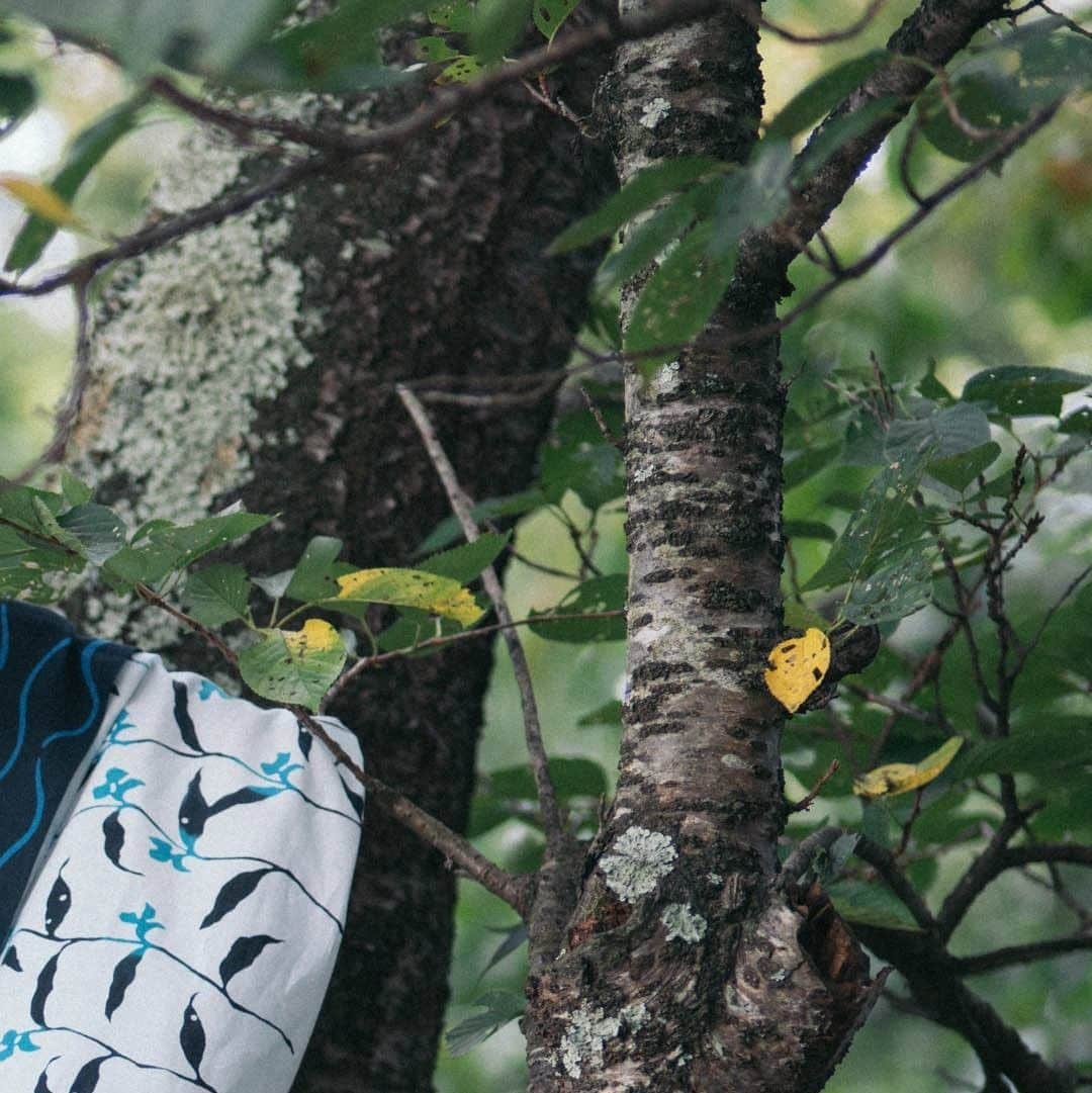 ヒラハルのグルメインスタ