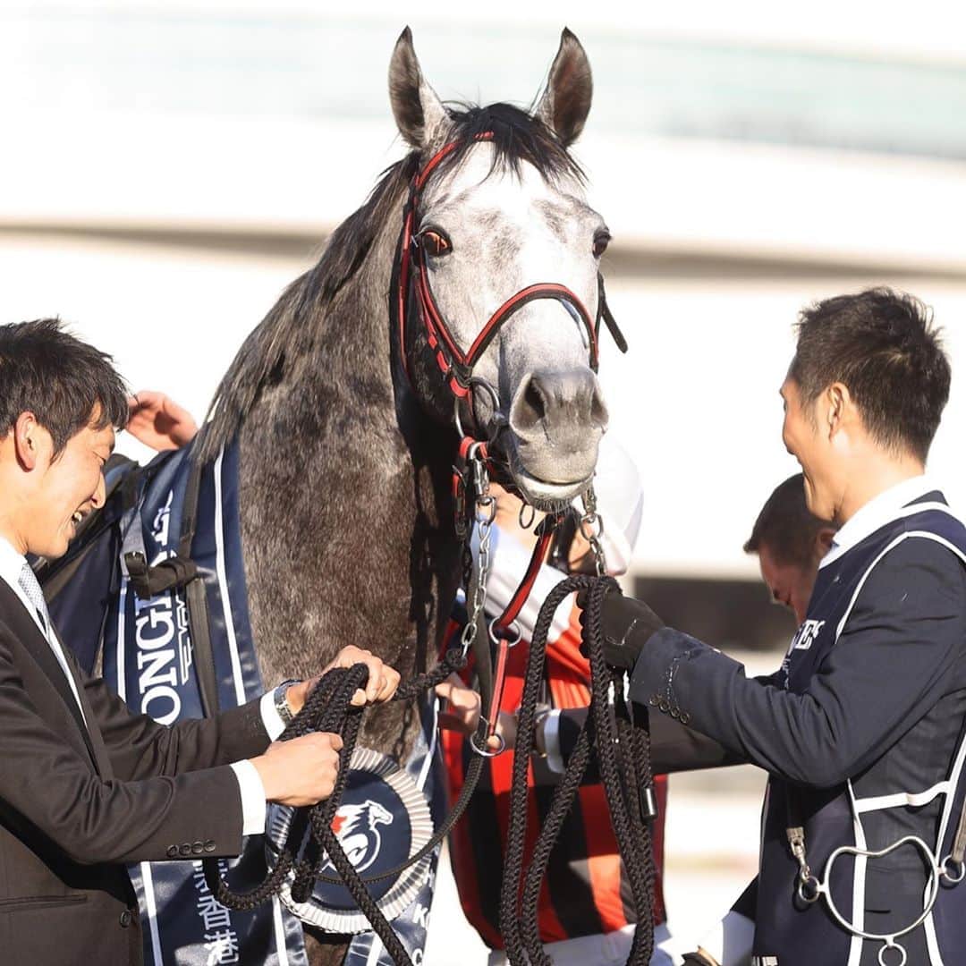 netkeibaさんのインスタグラム写真 - (netkeibaInstagram)「ㅤㅤㅤㅤㅤㅤㅤㅤㅤㅤㅤㅤㅤ ㅤㅤㅤㅤㅤㅤㅤㅤㅤㅤㅤㅤㅤㅤ netkeiba 芦毛祭 🍧 ㅤㅤㅤㅤㅤㅤㅤㅤㅤㅤㅤㅤㅤ 本日は現役馬から、ウインブライトさん🤍 ㅤㅤㅤㅤㅤㅤㅤㅤㅤㅤㅤㅤㅤ また松岡騎手とともに、かっこよく走る姿を 見れる日をたのしみに待っています！ ㅤㅤㅤㅤㅤㅤㅤㅤㅤㅤㅤㅤㅤ ～これまでの重賞勝ち鞍～ 2017年：スプリングS(GII)、福島記念(GIII) 2018年：中山記念(GII) 2019年：香港C(GI)、QE2世C(GI)、中山記念(GII)、中山金杯(GIII) ㅤㅤㅤㅤㅤㅤㅤㅤㅤㅤㅤㅤㅤ #ウインブライト ㅤㅤㅤㅤㅤㅤㅤㅤㅤㅤㅤㅤㅤ #instahorse #horsetagram #thoroughbred #芦毛 #馬 ㅤㅤㅤㅤㅤㅤㅤㅤㅤㅤㅤㅤㅤ (撮影：高橋正和)」9月10日 19時40分 - netkeiba