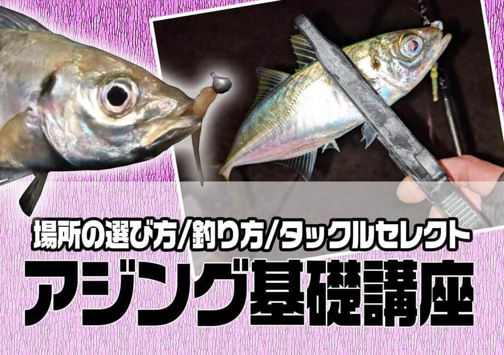 LureNews.TVのインスタグラム