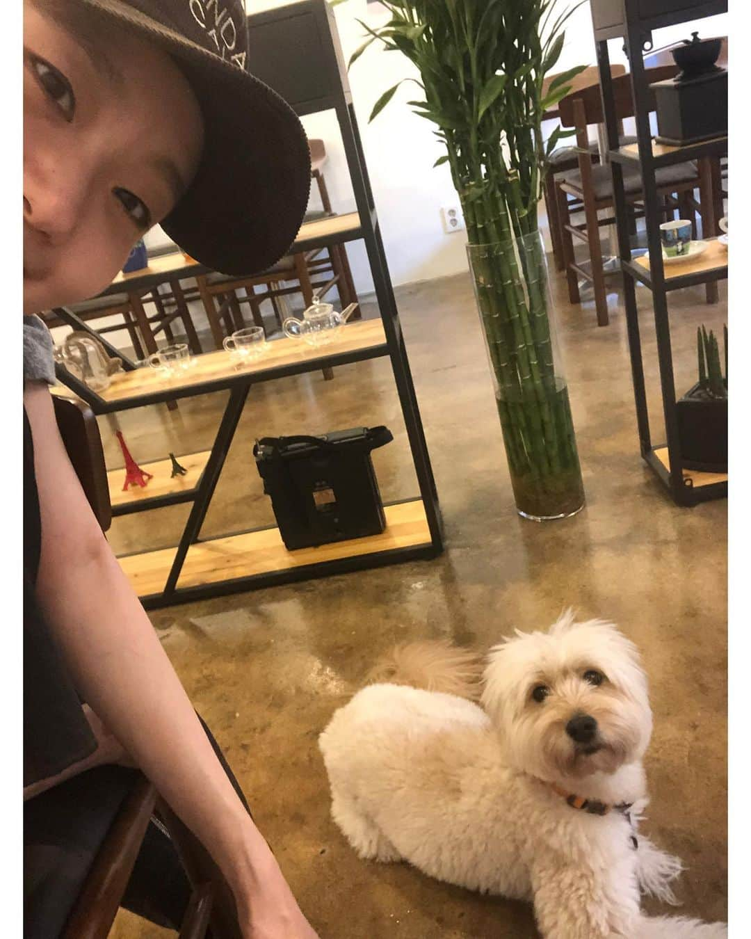 キム・ゴウンさんのインスタグラム写真 - (キム・ゴウンInstagram)「순이랑 🐶🖤」9月10日 15時00分 - ggonekim