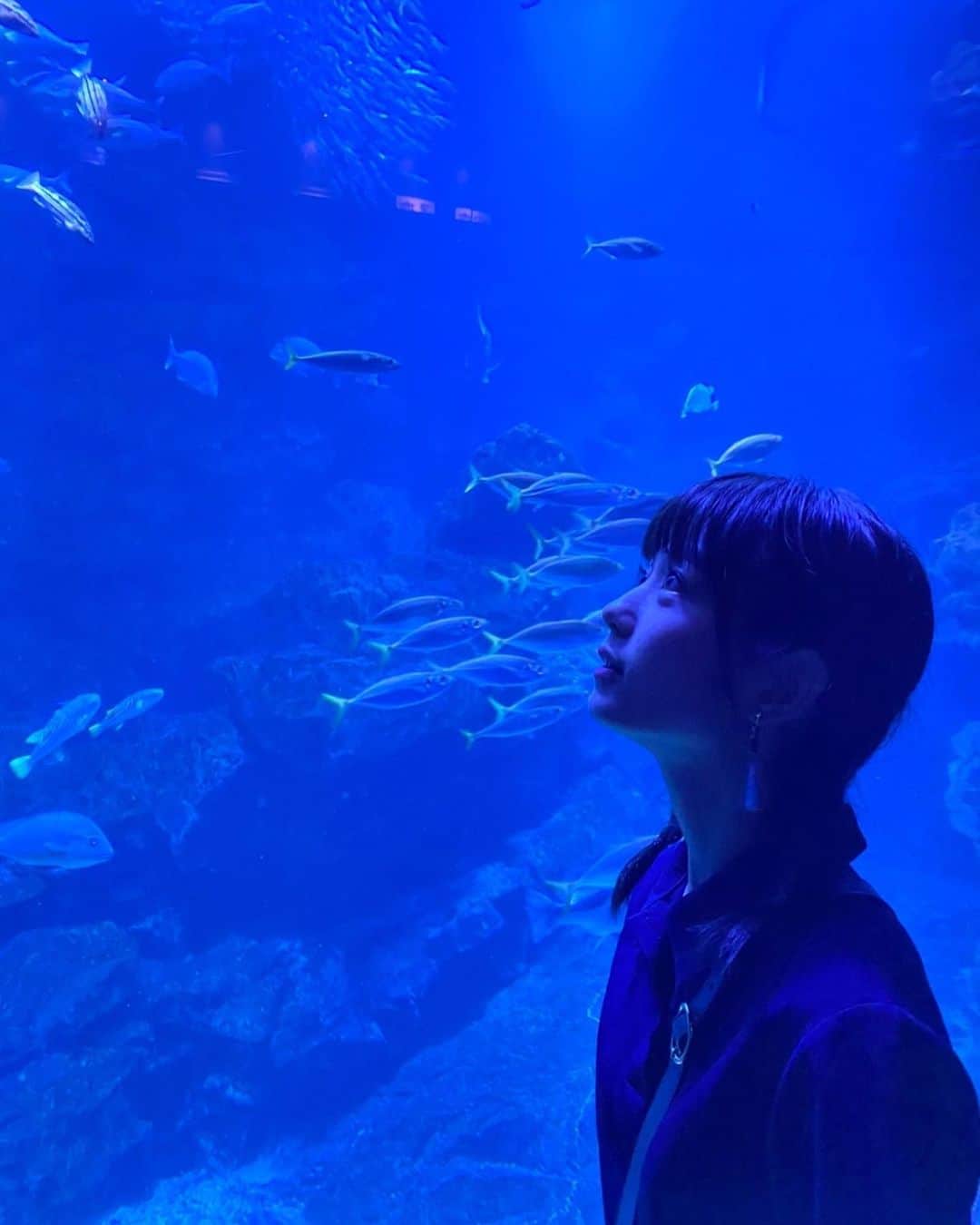 森田涼花のインスタグラム：「🐬」