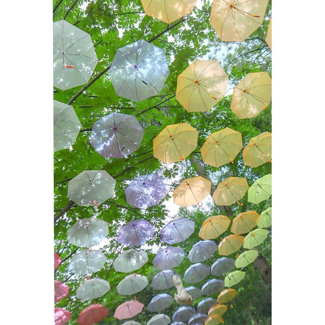 廣川奈々聖のインスタグラム：「遅ればせながら﻿ 原宿・WONDER PHOTO SHOPでの #写真展 ありがとうございました📷♡🌳﻿ ﻿ ﻿ ﻿ 反省点も沢山だけど﻿ ムーミンバレーパークの自然や 季節感を感じてもらえる写真にしたいなと思って撮影・レタッチなどを行いました！﻿ ﻿ ﻿ 遠方で来られなかった方にも見てもらいたくて 写真展で展示した写真と、﻿ あと、展示していない写真も載せてみたよ〜 ¨̮ ﻿ ﻿ ﻿ 載せたかったいくつかのお気に入りの写真は﻿ スマホから消してしまってたみたいですぐ見つからなくて断念しました、、笑﻿ ﻿ ﻿ ﻿ #ムーミンバレーパーク 本当に素敵なところだったな🌈 ﻿ ﻿ ﻿ ﻿ 好きな写真とか是非教えてくれたら嬉しいです！﻿ ﻿ 私はポストと子供の写真がいちばんお気に入りです☁📮﻿ ﻿ ﻿ ﻿ ﻿ ﻿ ﻿ ﻿ #ななせカメラ﻿#アイドルカメラ部#カメラ女子#canoneoskissm#canon_photos#moominvalleypark#moominvalley#メッツァビレッジ#カメラ好き#風景写真#ファインダー越しの世界#photography#kissカメラ#日帰り旅」