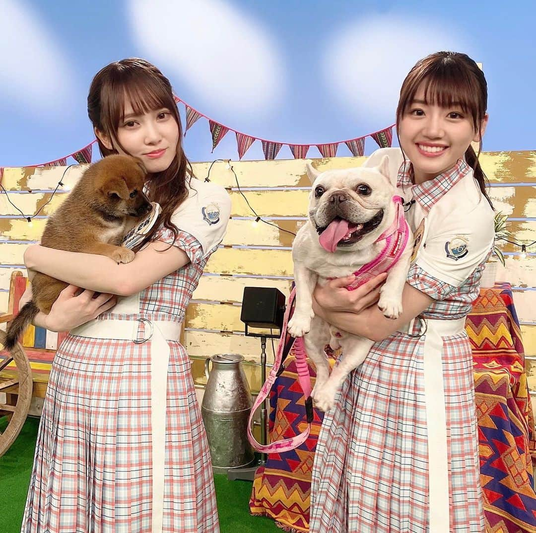 テレビ東京「どうぶつピース‼︎」のインスタグラム：「本日 9 月 10 日夜6時25分からはどうぶつピース!!😸🐶. 今夜も日向坂46とのコラボスペシャル!!必見です😍. . 「日向坂コラボ企画!激カワ動画」. 日向坂46のメンバーが、猫カフェで可愛すぎる猫ちゃんのキュン❤な瞬間を激写📸. さらにさらに、日向坂46にしか撮れない珍獣の激カワ写真を狙う😆. . 「イケメン飼育員」. イケメン飼育員に取材をする新企画!✨. 動物園や水族館の、イケメンで話題の飼育員さんを突撃🎤💨. なんと、人気すぎてファンクラブを持つツワモノまで...!? . 爽やかすぎるイケメンの笑顔で、夏の暑さも吹き飛びます😍. . 「飼い主だから撮れた!決定的瞬間」. 飼い主さんだからこそ撮れた、激カワ動画連発!!. まさかの珍行動をする猫ちゃん、変わったクセをもつワンちゃんまで! おもしろ動画連発です🌟. . 「ぶちゃかわ犬のアザカワな瞬間」. 日向坂46コラボ企画!ぶちゃかわ犬の、あざとカワイイ瞬間 BEST3を発表! とってもキュートなアザカワ映像連発で、日向坂46メンバーもメロメロ😍❤. . 「豊島園閉園 ふれあい動物園に密着」. 長きにわたり地元から愛されてきた、豊島園の閉園に密着!. 20種類以上の動物たちとふれあい体験ができる、ふれあいペットガーデンの方や、 何年もペットガーデンに通っている、常連さんにもお話を伺いました🎤. ペットガーデンのワンちゃんが起こした、小さな奇跡とは!? 感動の実話をお届けいたします!. . . .  番組ではペットの動画と写真の投稿をお待ちしております。. 皆さん、自慢のペットをテレビデビューさせちゃいましょう📺. . 詳しくは番組ホームページを check✔. . . . #どうぶつピース #ぴーす君 #テレビ東京 #tvtokyo #オードリー #若林正恭 #春日俊彰 #大政絢 #日向坂 46 #犬 #dog #わんこ #猫 #cat #ニャンコ #動物 #どうぶつ #animal #赤ちゃん #かわいい #instadog #犬のいる暮らし #動物好きな人と繋がりたい」