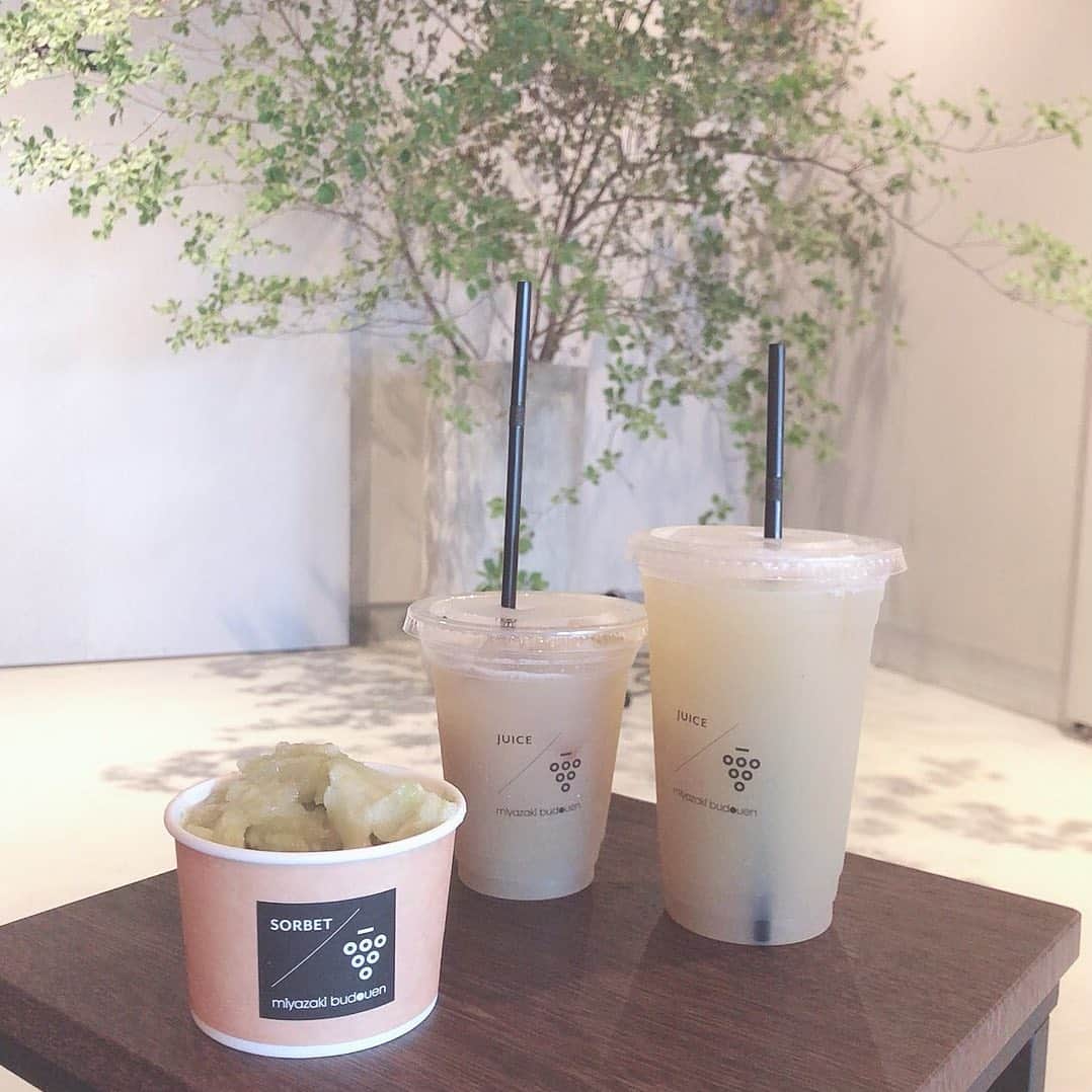 長尾麻由のグルメインスタ