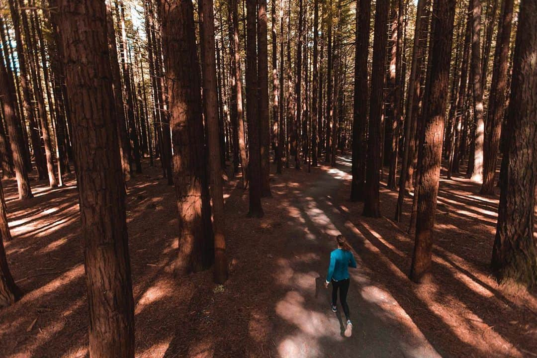 マイケル・ドーソンさんのインスタグラム写真 - (マイケル・ドーソンInstagram)「Enjoying the backyard 🏃‍♀️   #redwoods #rotoruanz #NZmustdo #shootday #kiwicreations」9月10日 16時27分 - mrmikedawson