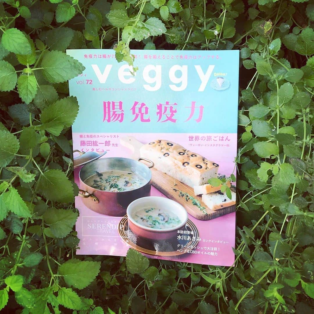 熊谷真実さんのインスタグラム写真 - (熊谷真実Instagram)「本日発売！ Veggy 最新号 一番大切な腸免疫力！ 知りたい！ 私のコラムも載ってます！ #熊谷真実#熊谷真実のホリスティックライフ#veggy #veggy公式アンバサダー」9月10日 16時43分 - mami_kumagai310